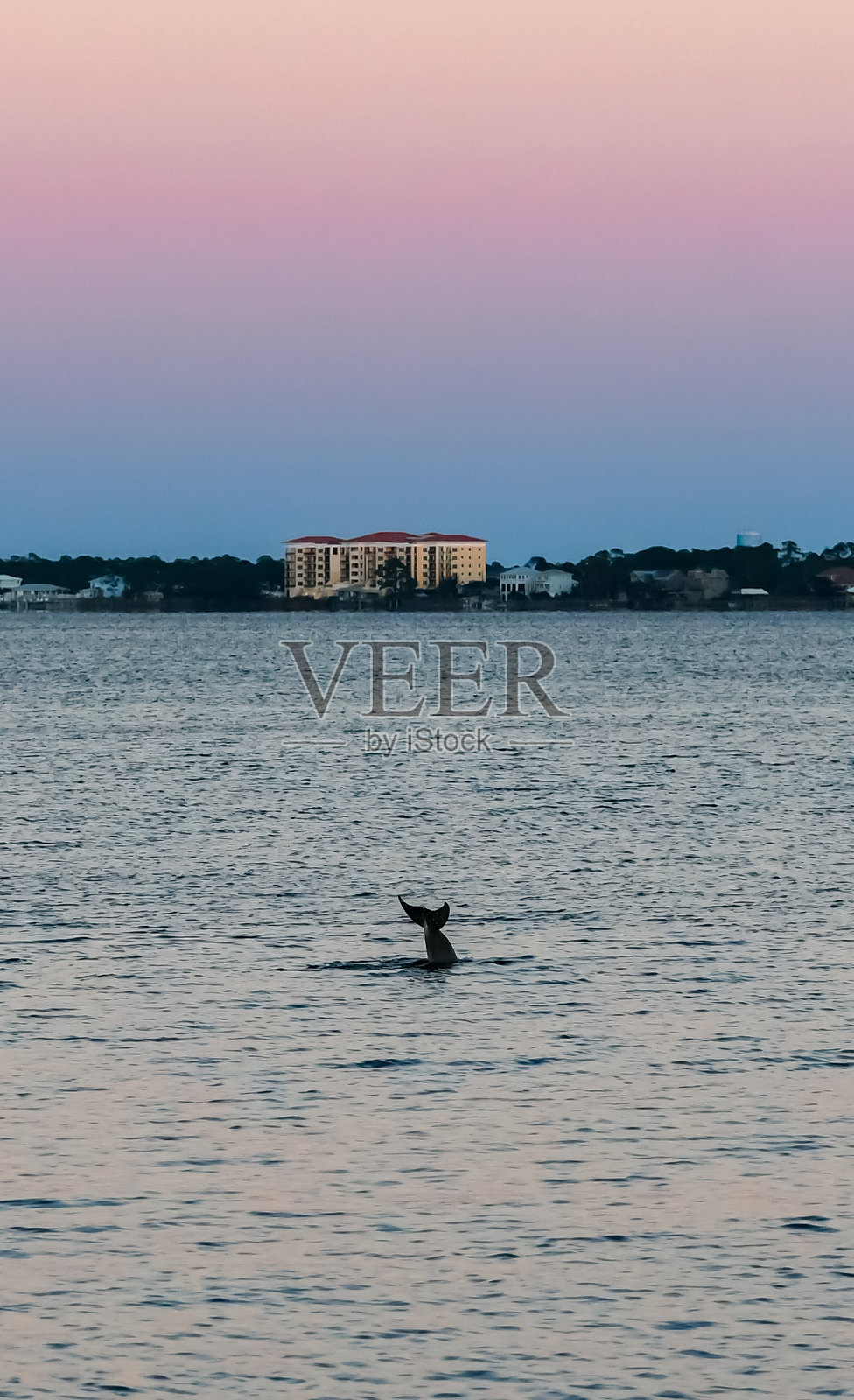 海滩的冬天照片摄影图片