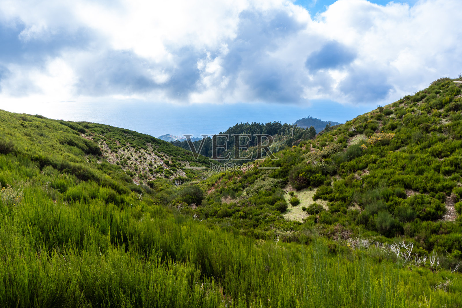 山谷和绿色的山丘，背景是海洋 – 马德拉。照片摄影图片