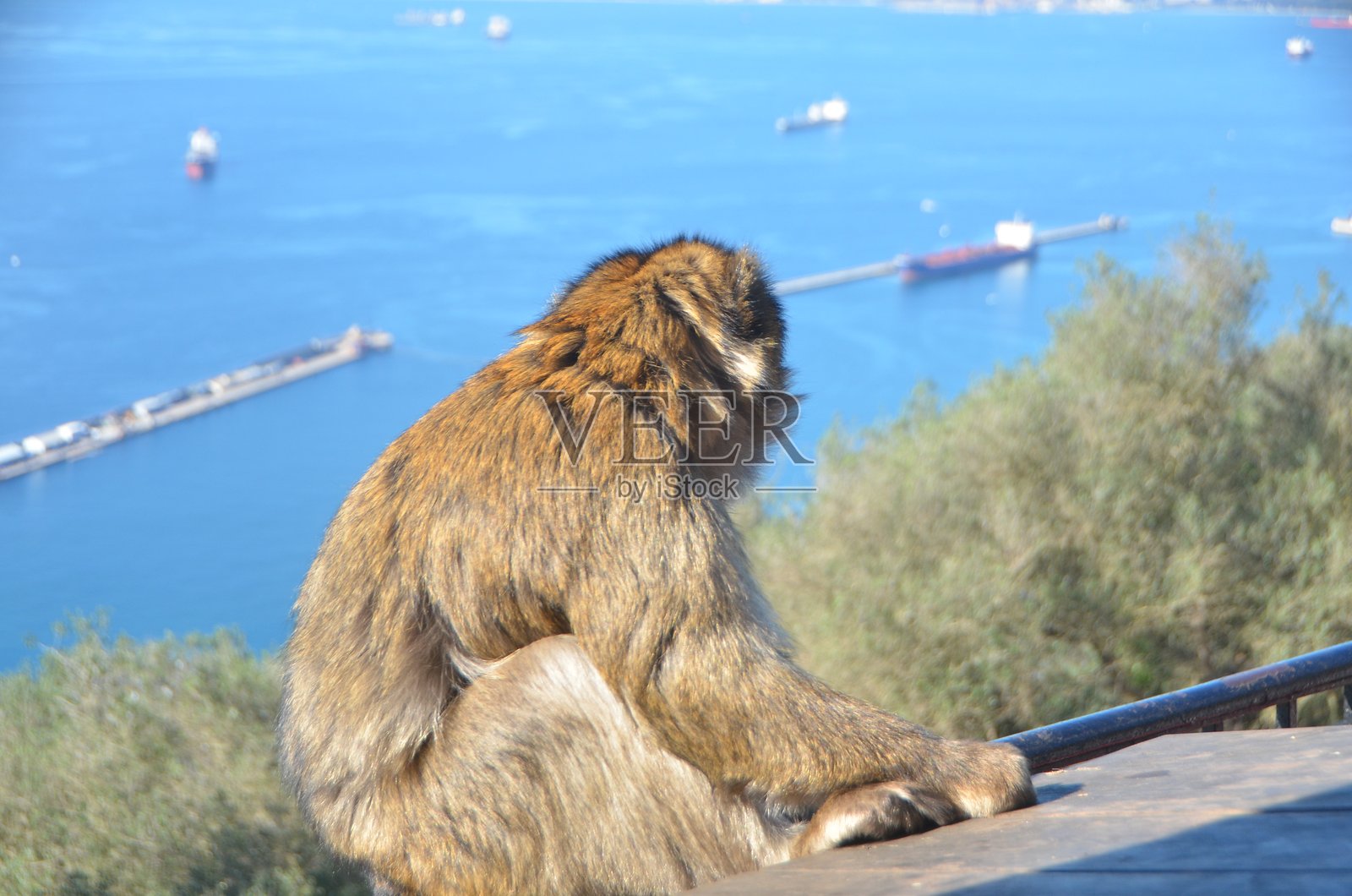直布罗陀照片摄影图片