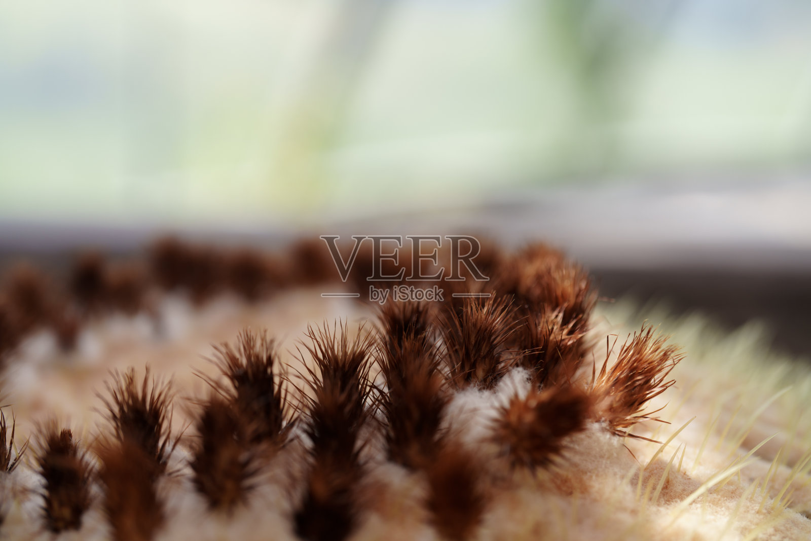 克罗恩莱尼亚·格鲁索尼的顶部。照片摄影图片