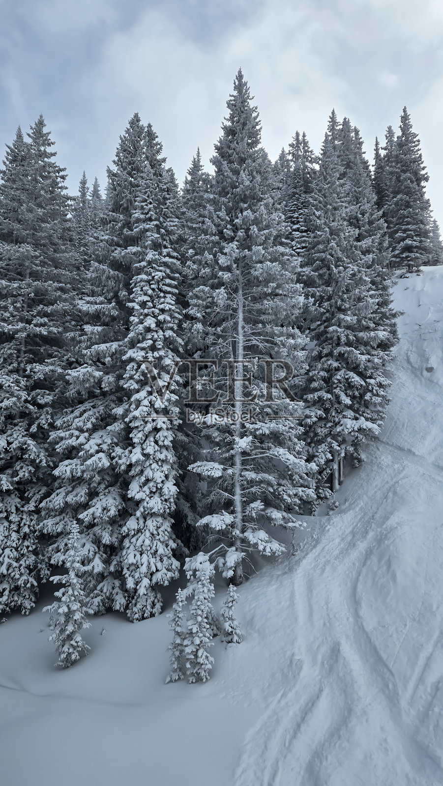 在科罗拉多州维尔的雪天滑雪照片摄影图片