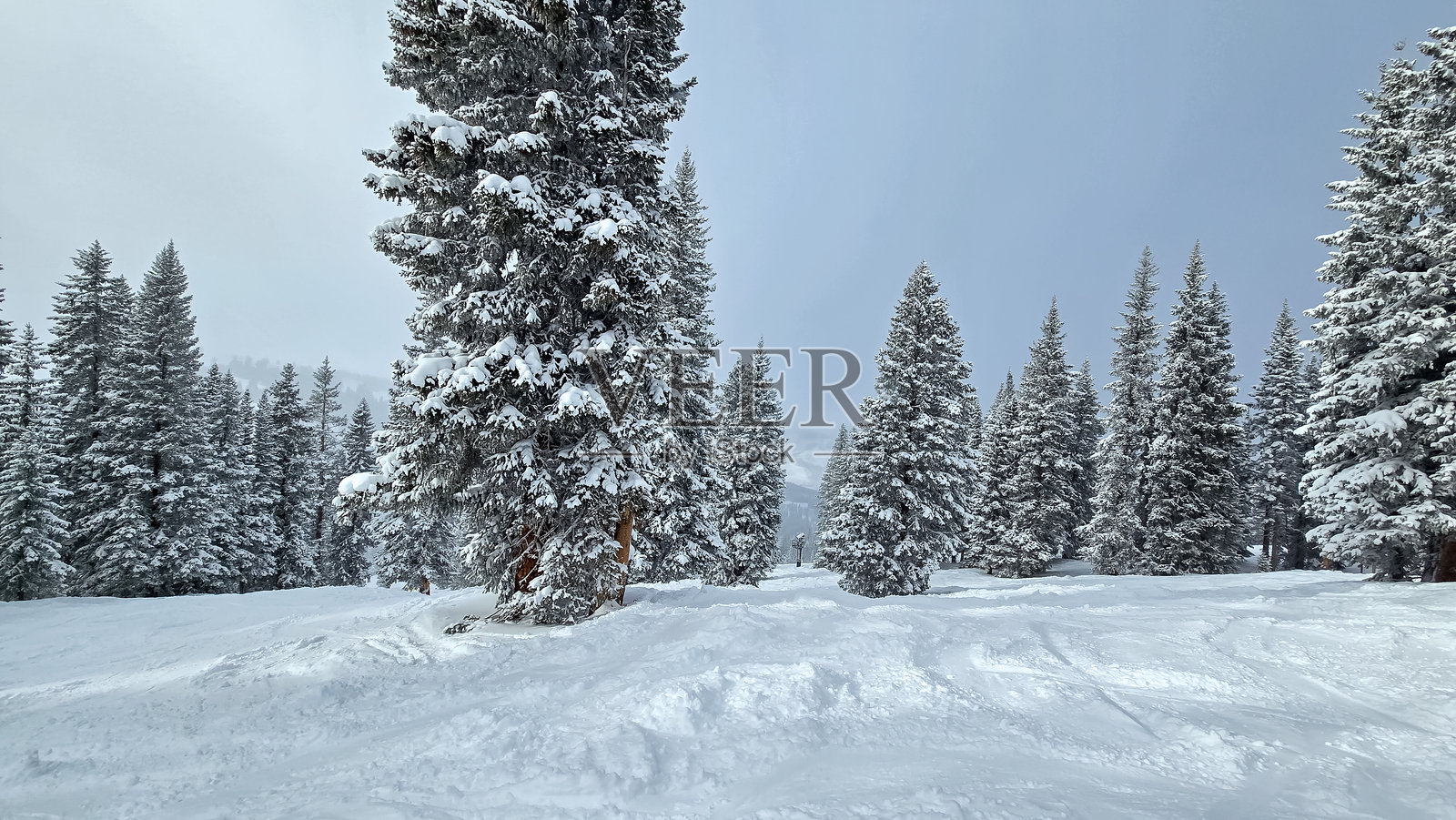 在科罗拉多州维尔的雪天滑雪照片摄影图片