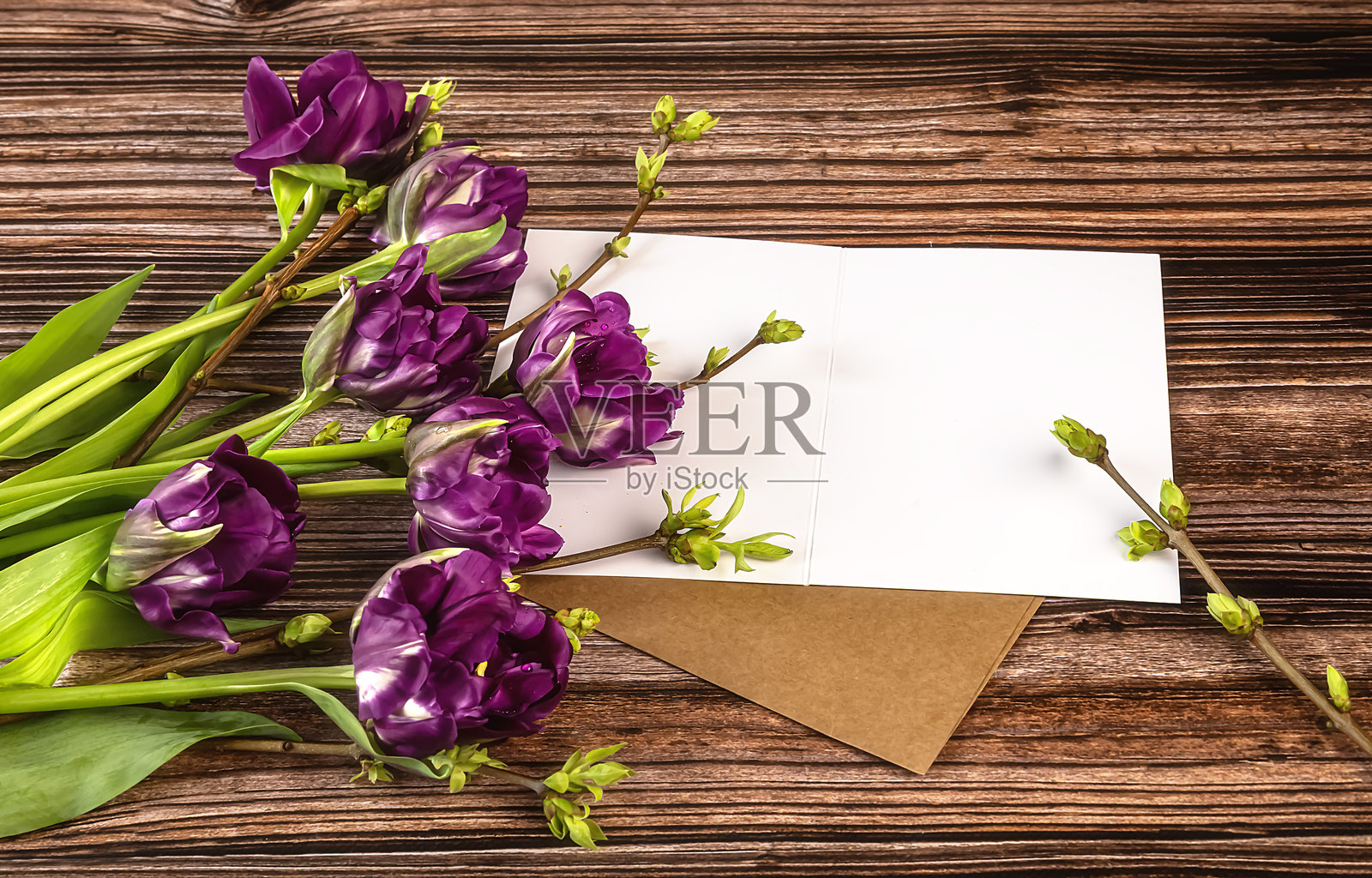 一张空白的白纸，旁边有一个信封，一束紫色郁金香，以及带有绿色芽的树枝照片摄影图片