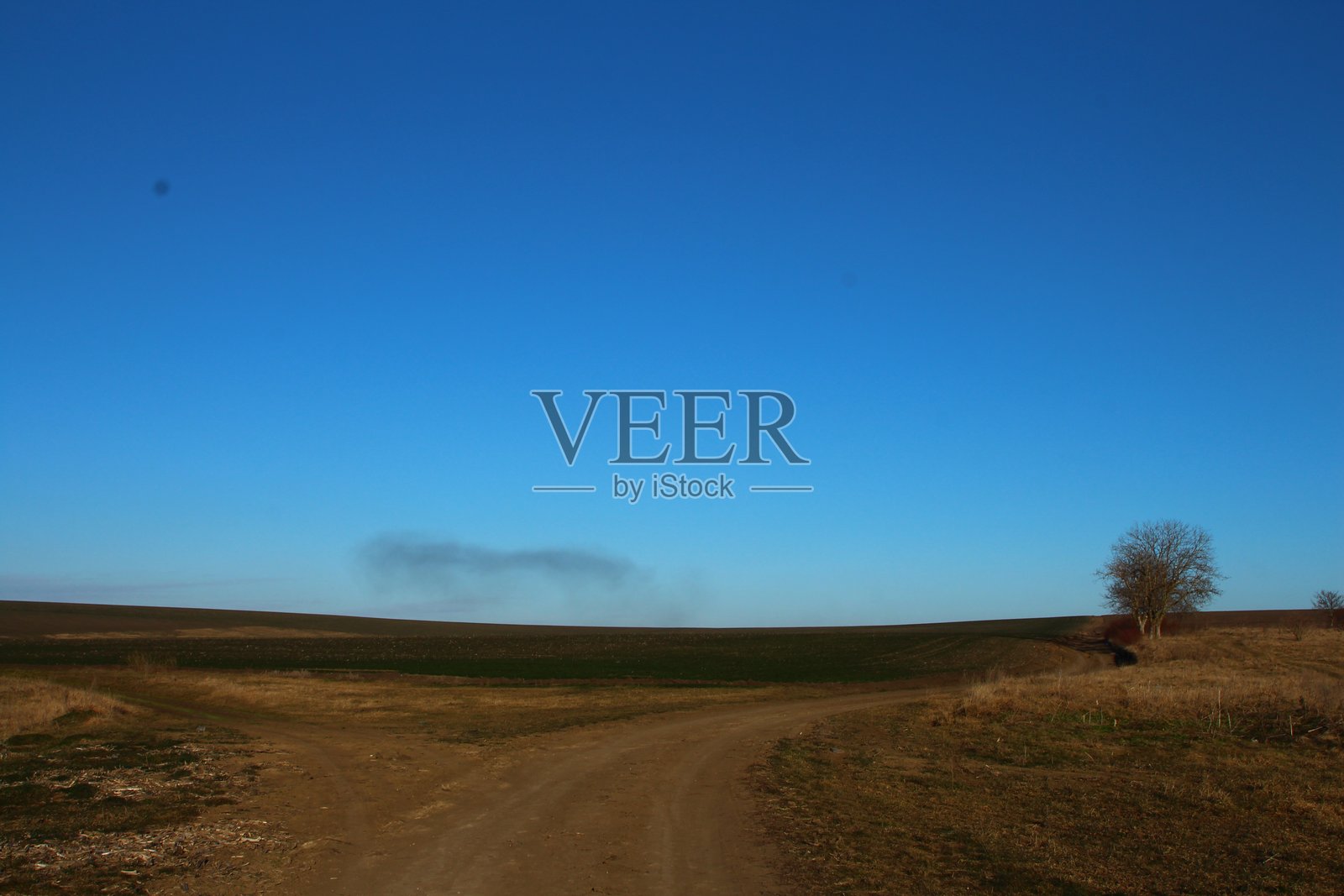 一条泥土路，背景有一棵树照片摄影图片