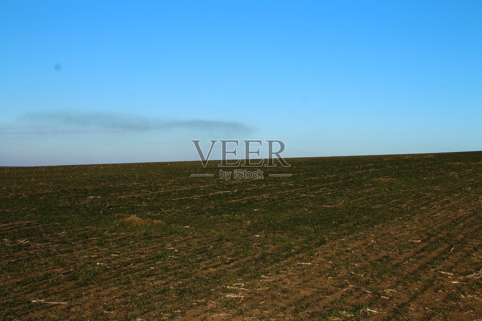 一片草地上有白色文字照片摄影图片