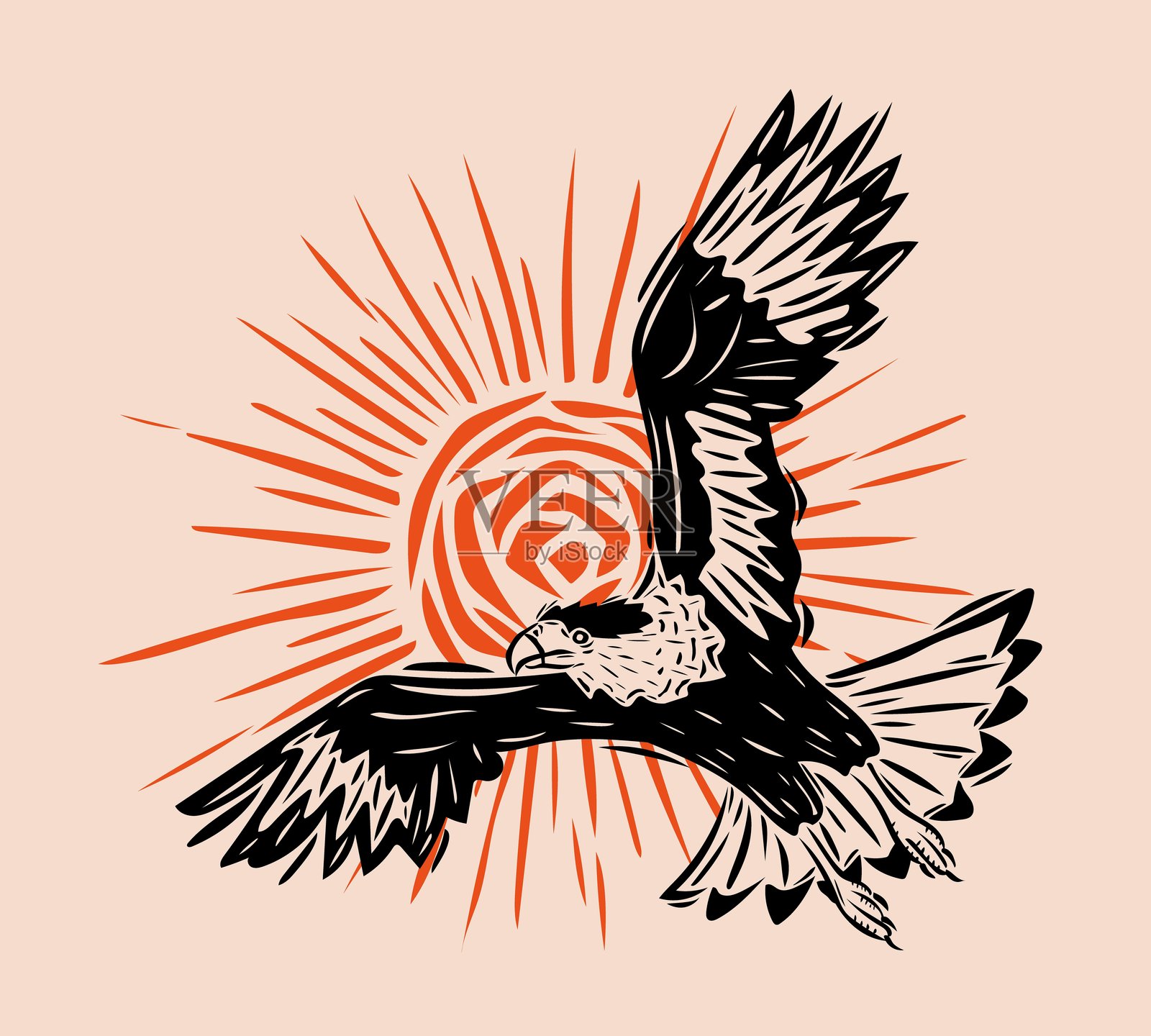 卡拉卡拉鹰在阳光背景下飞翔的矢量图。图标、标志、卡片、印刷品的设计模板。矢量插图。插画图片素材