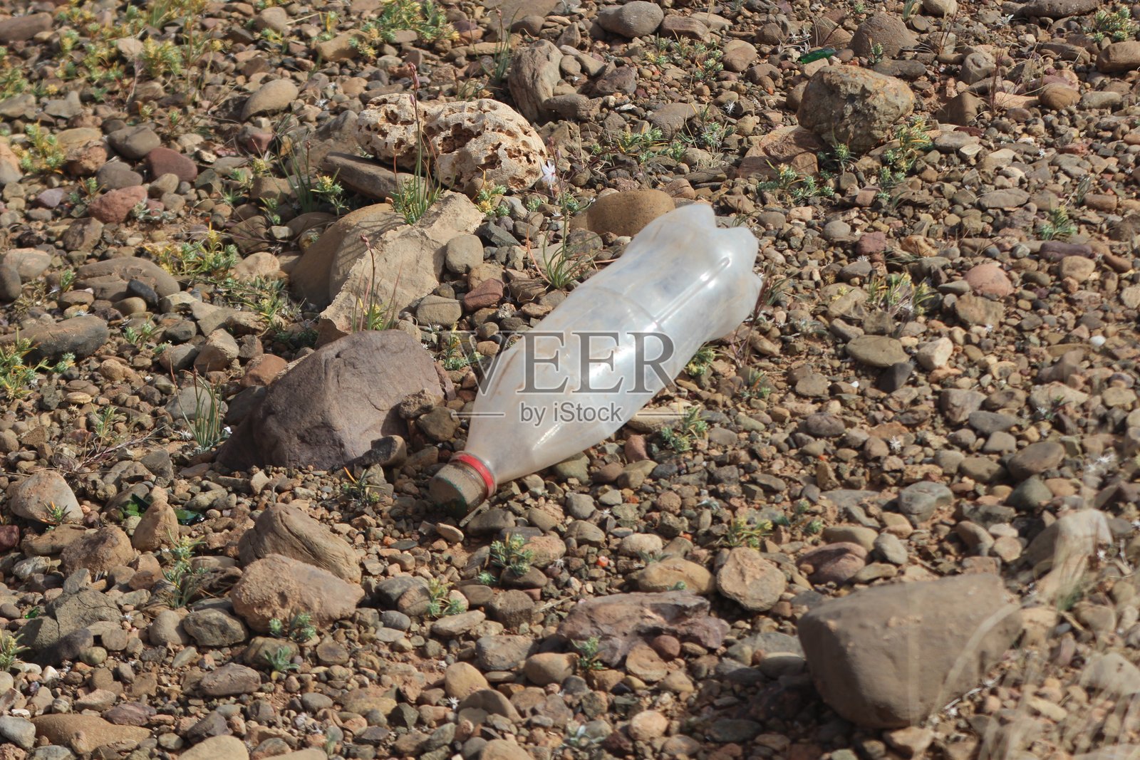 空塑料瓶躺在地上照片摄影图片