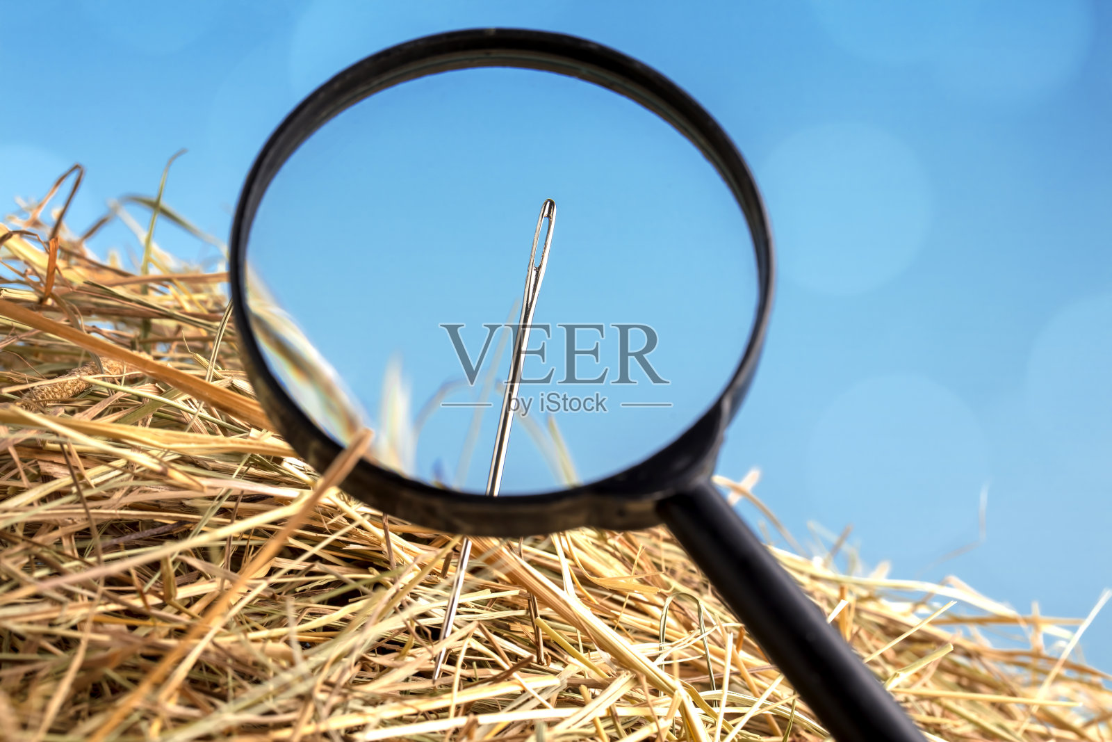 放大镜下的干草堆中的针照片摄影图片