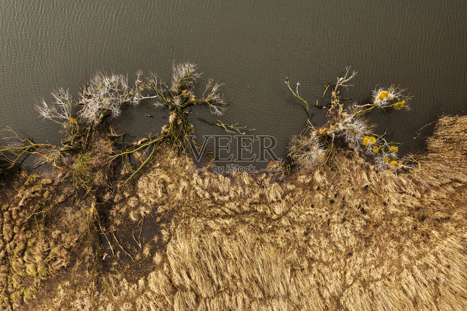 秋季河流风景航拍。河边的秋季植物风景。照片摄影图片