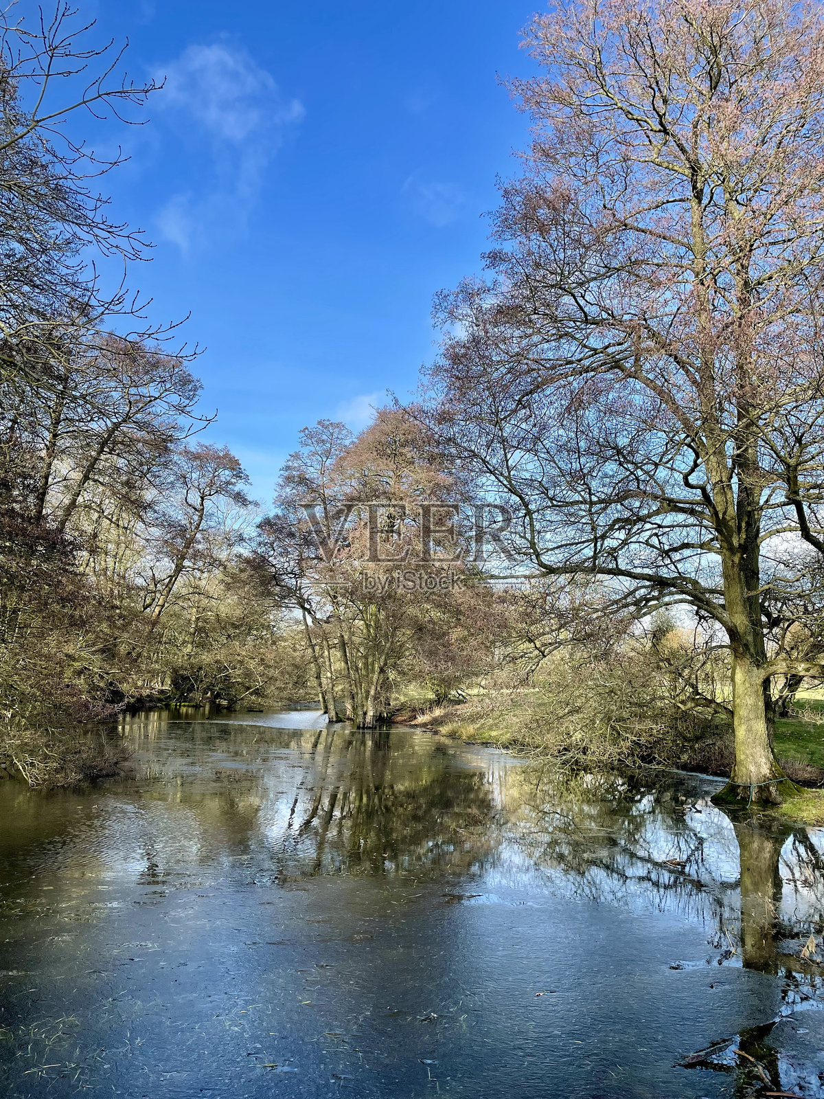 英格兰诺桑普顿郡的冰冻池塘照片摄影图片