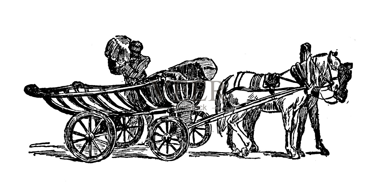 特列加插画图片素材