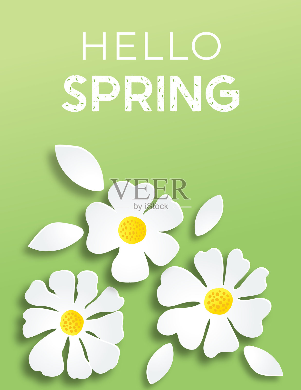 春天的花朵在明亮的绿色背景上插画图片素材