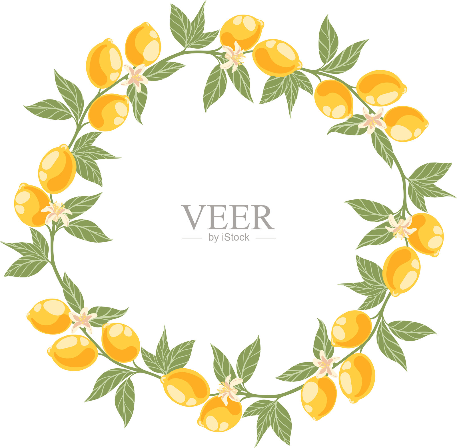 柠檬花环。花卉矢量插图。插画图片素材
