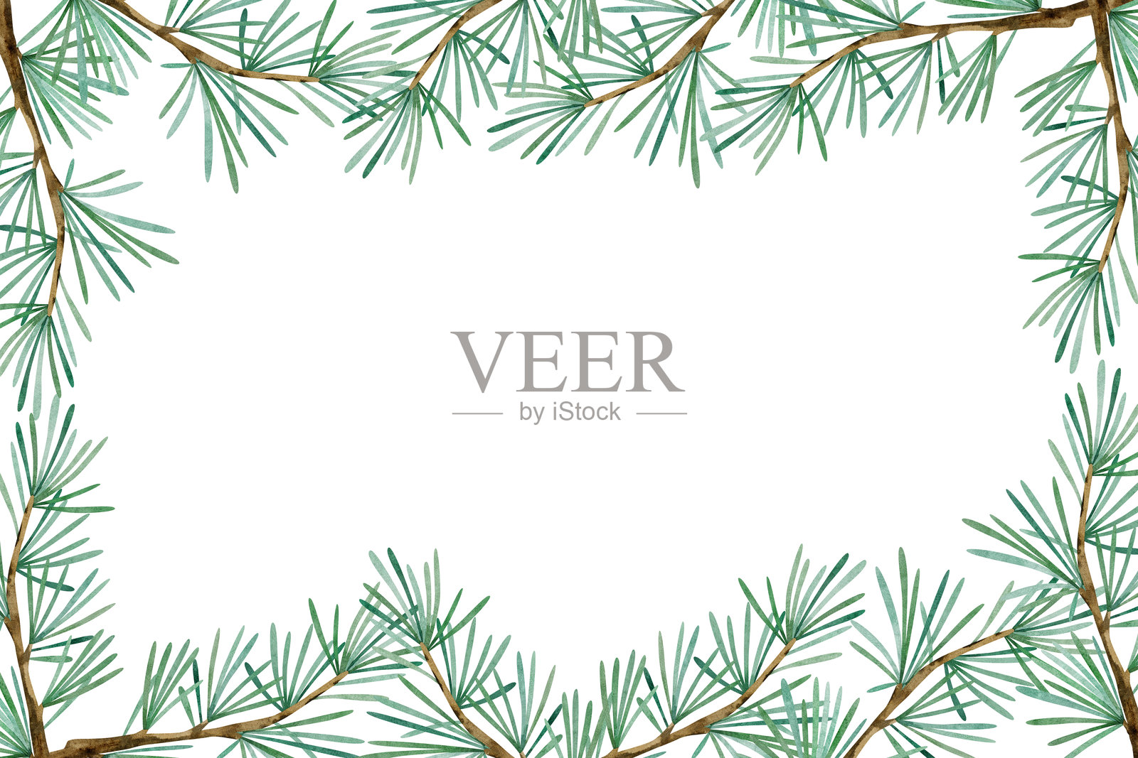 复古圣诞框架，带有松树枝。带有绿色针叶的冷杉枝。插画图片素材