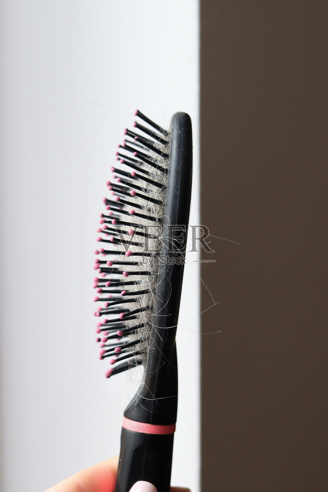 梳子上掉落的头发，背景为白色。健康护理。特写。脱发、秃顶和护发的概念。照片摄影图片