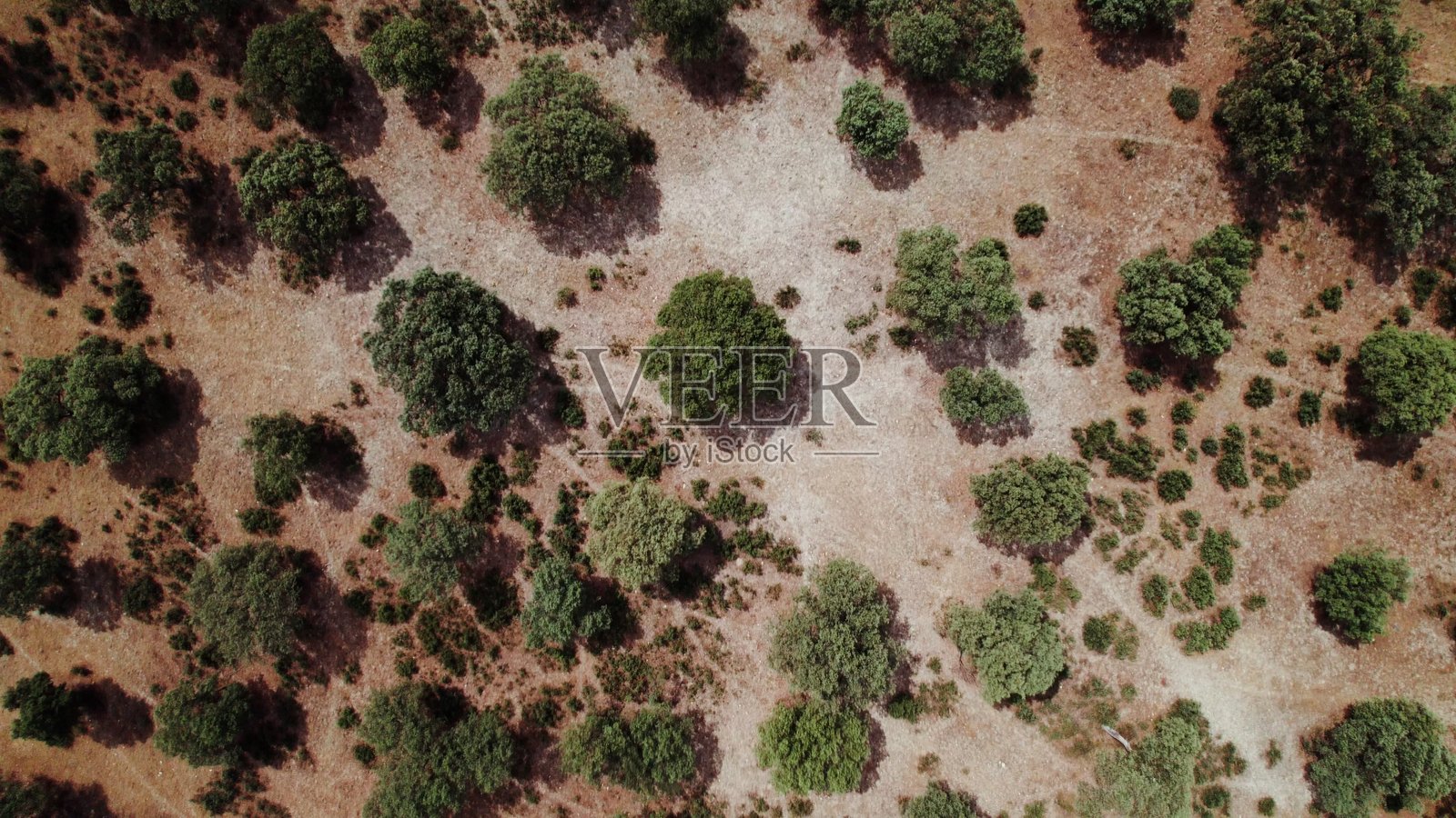 无人机拍摄的草原全景照片摄影图片