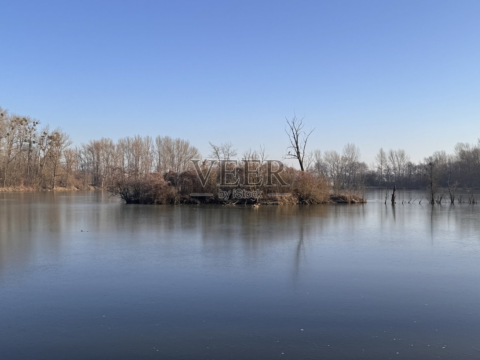一幅宁静的湖泊风景，四周被茂密的森林环绕，天空湛蓝。前景中有一根大而浅色的原木，躺在覆盖着棕色落叶的地面上，一根粗壮的树枝伸展到水面上。照片摄影图片