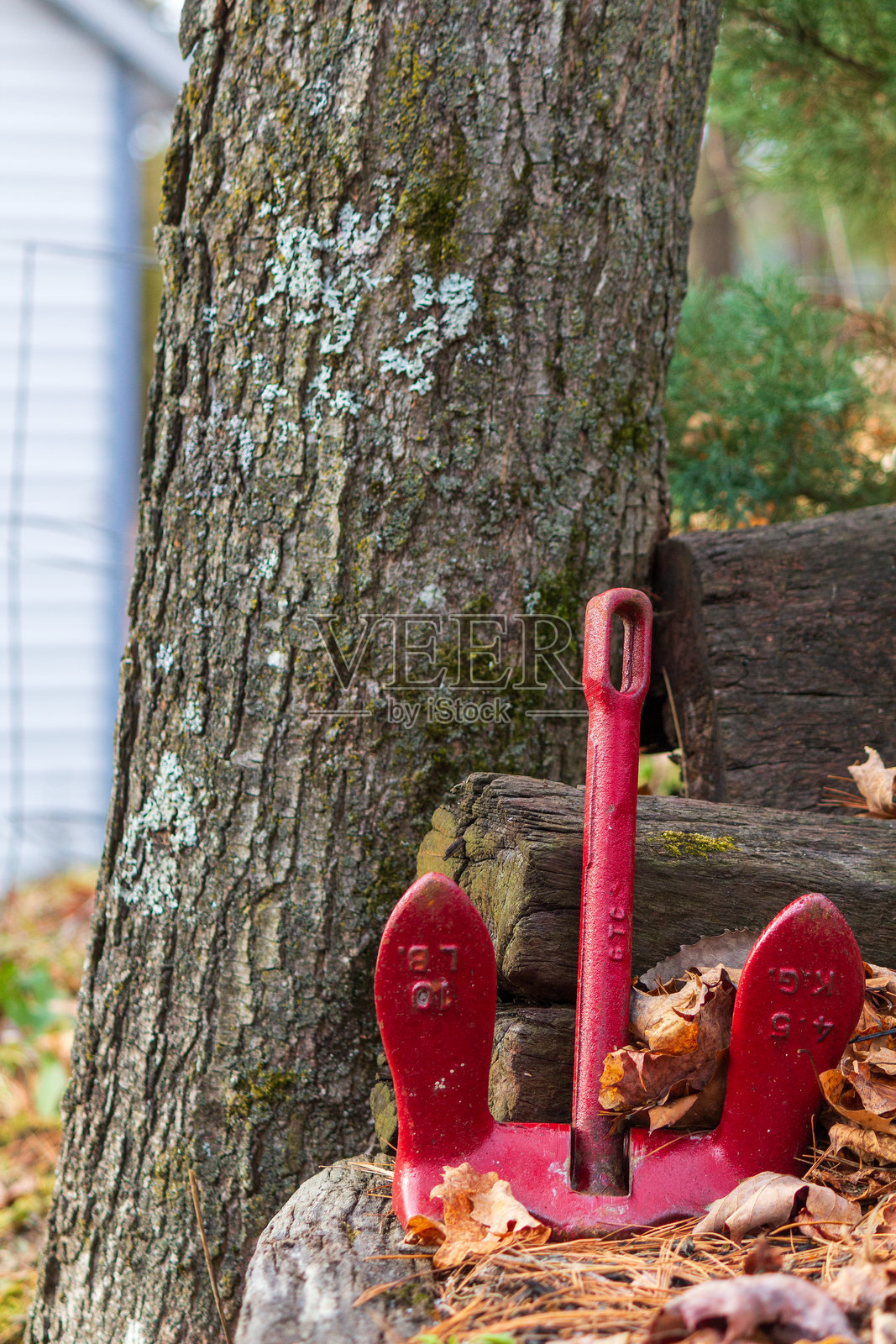 红色船锚靠在岩石和树旁照片摄影图片
