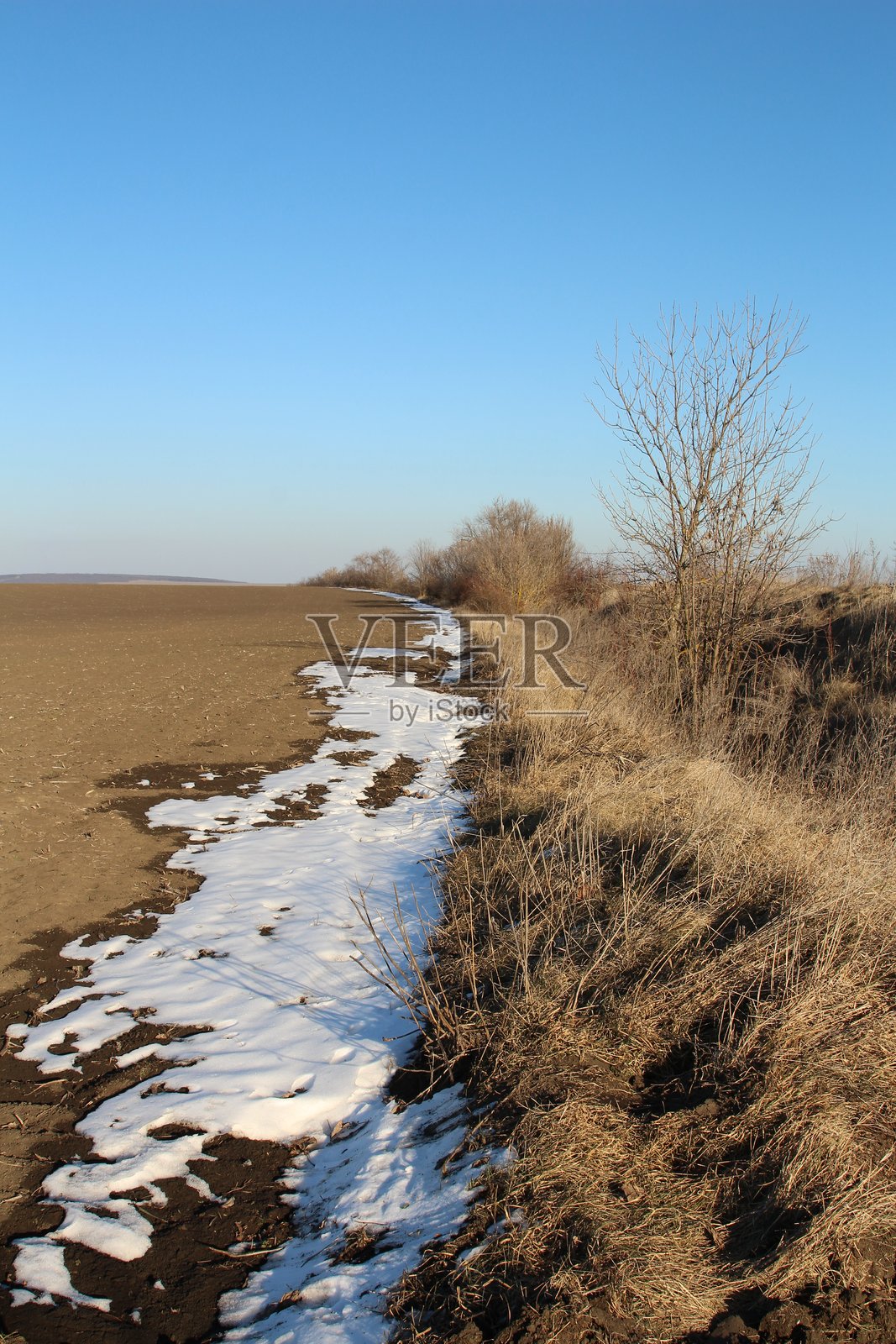 一条穿过田野的小路照片摄影图片