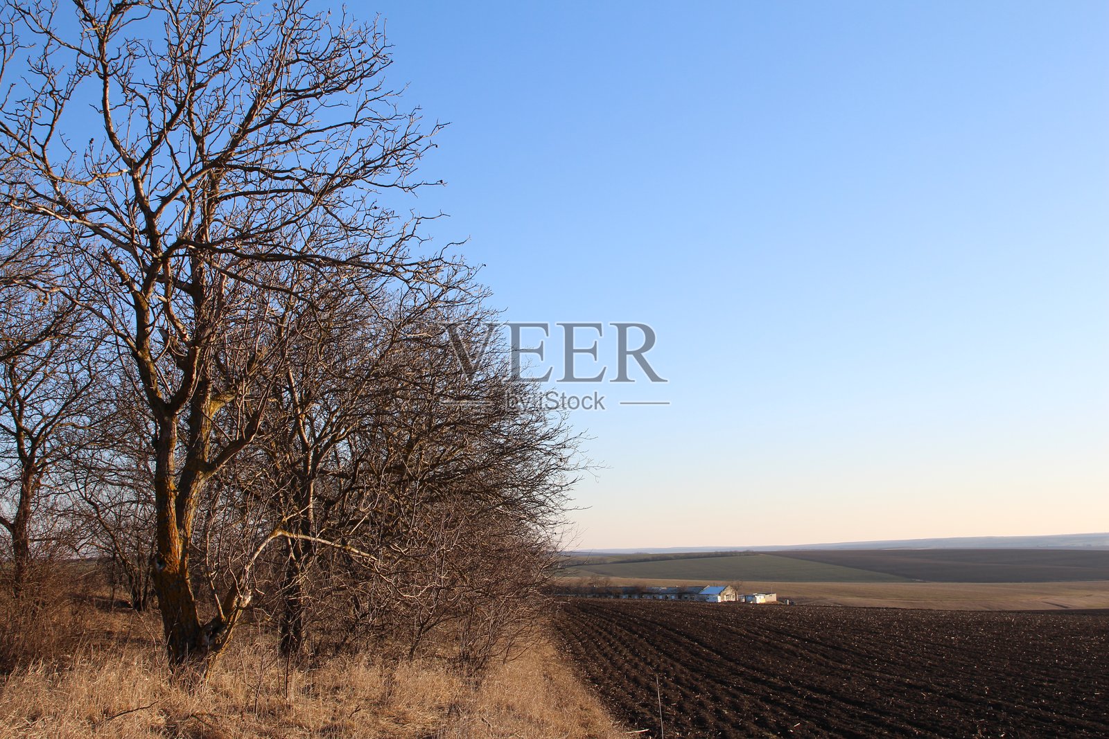 一条有树木和建筑物背景的土路照片摄影图片