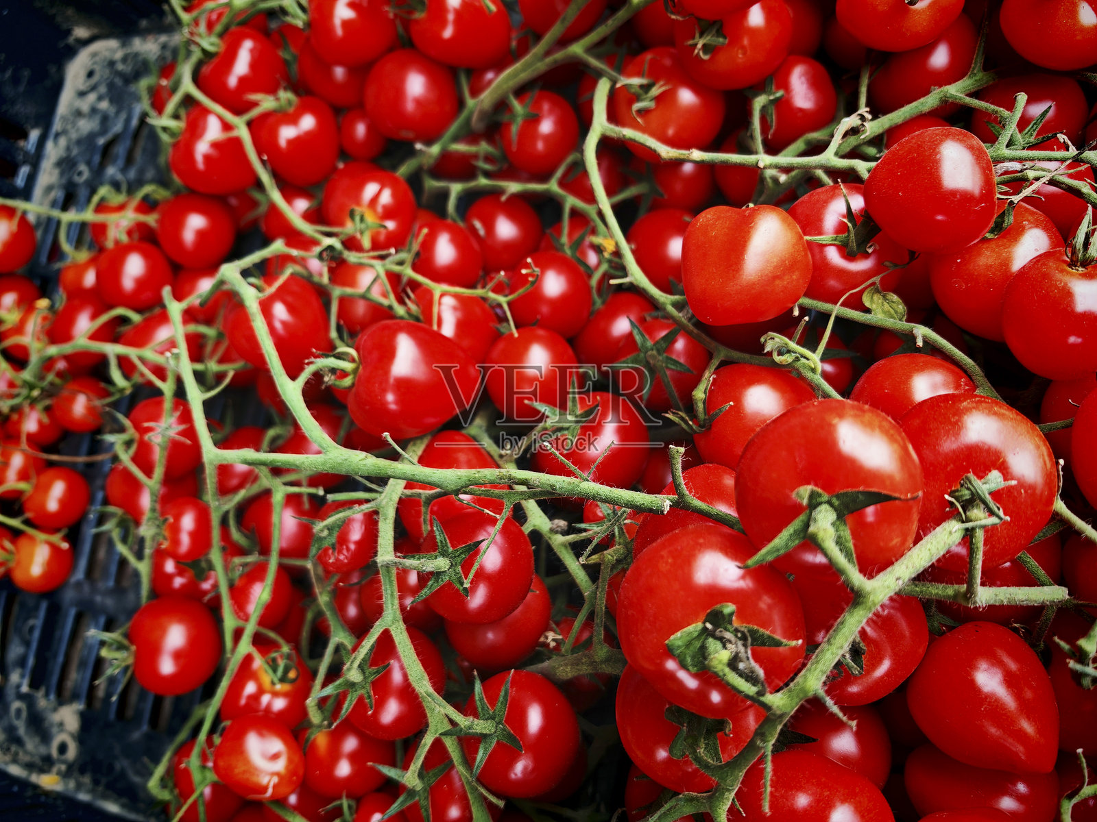 红色成熟的番茄蔬菜照片摄影图片