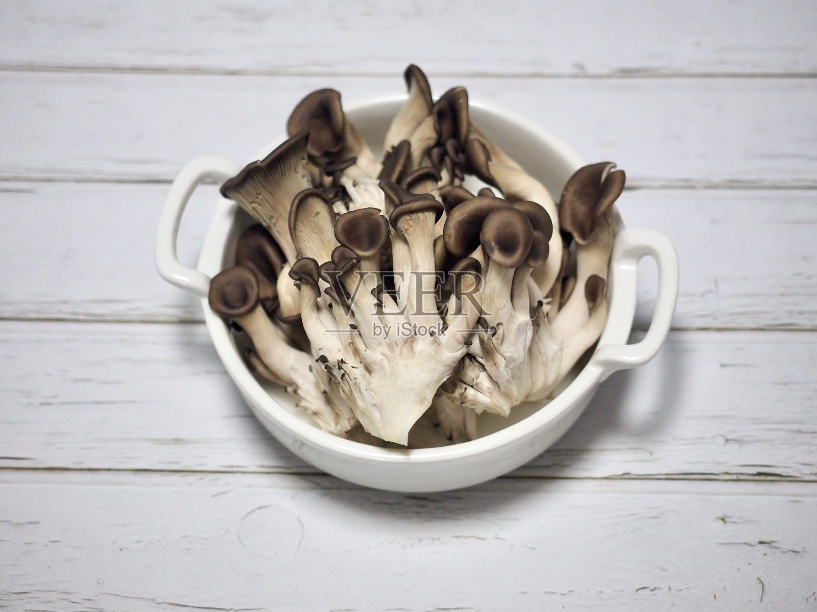 新鲜有机平菇，食品照片摄影图片