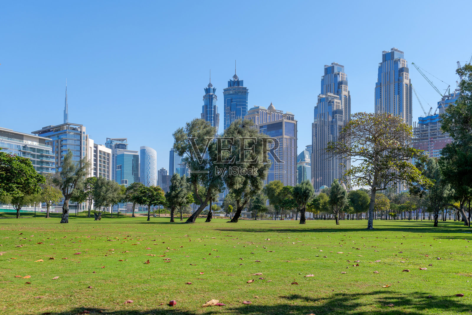 迪拜市中心的风景如画的绿色公园，俯瞰着迪拜市区的摩天大楼。这里是散步、野餐和在自然与城市建筑之间放松的绝佳场所。照片摄影图片