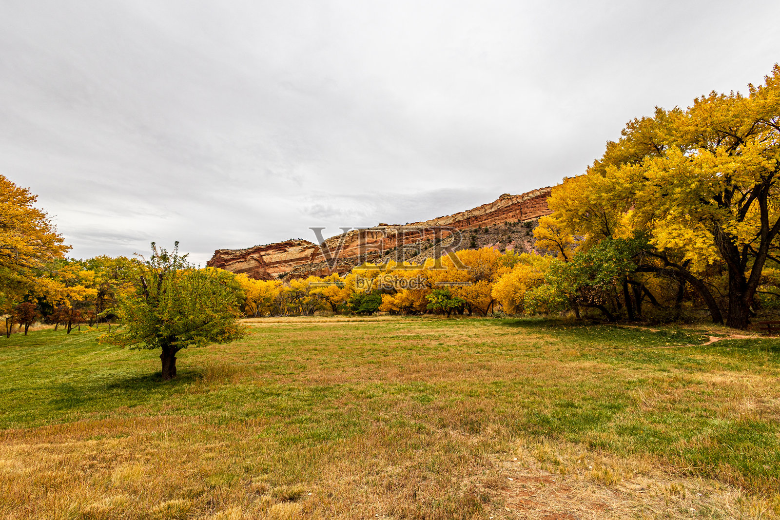 犹他州的秋季美景照片摄影图片