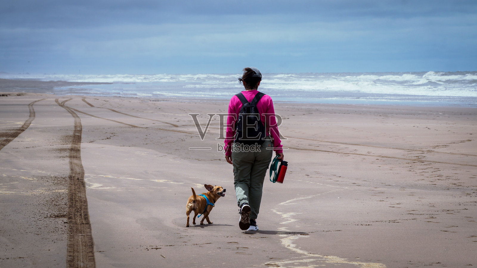 女人在海滩上遛狗照片摄影图片