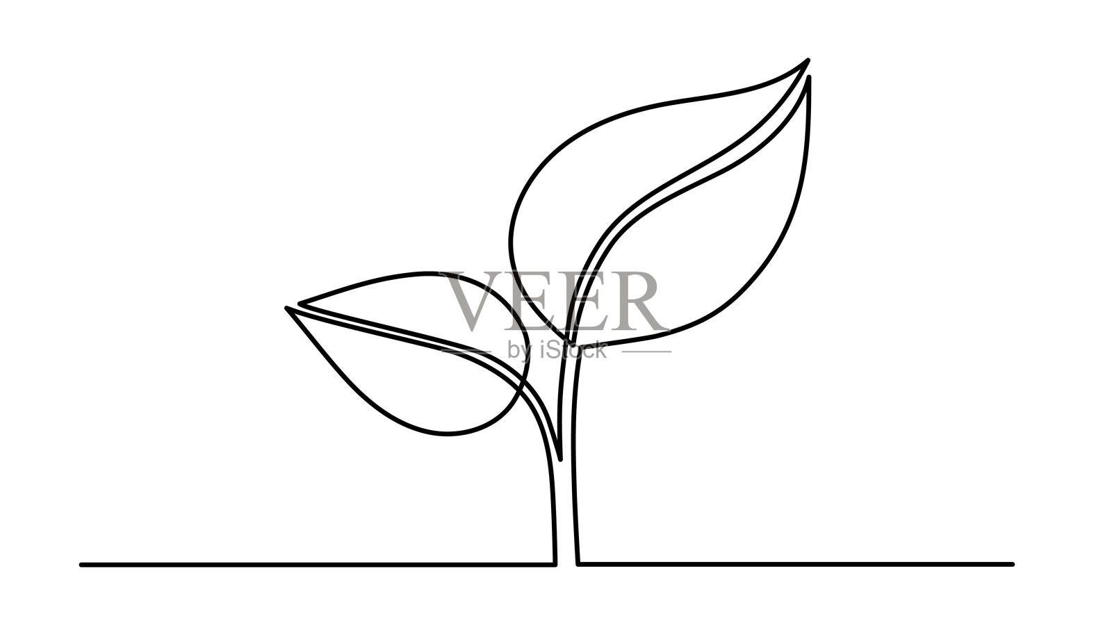 一行线条的叶子，手绘的生长植物图，连续的轮廓。有机生态植物分支概念轮廓，地面上生活的花朵象征。插画图片素材