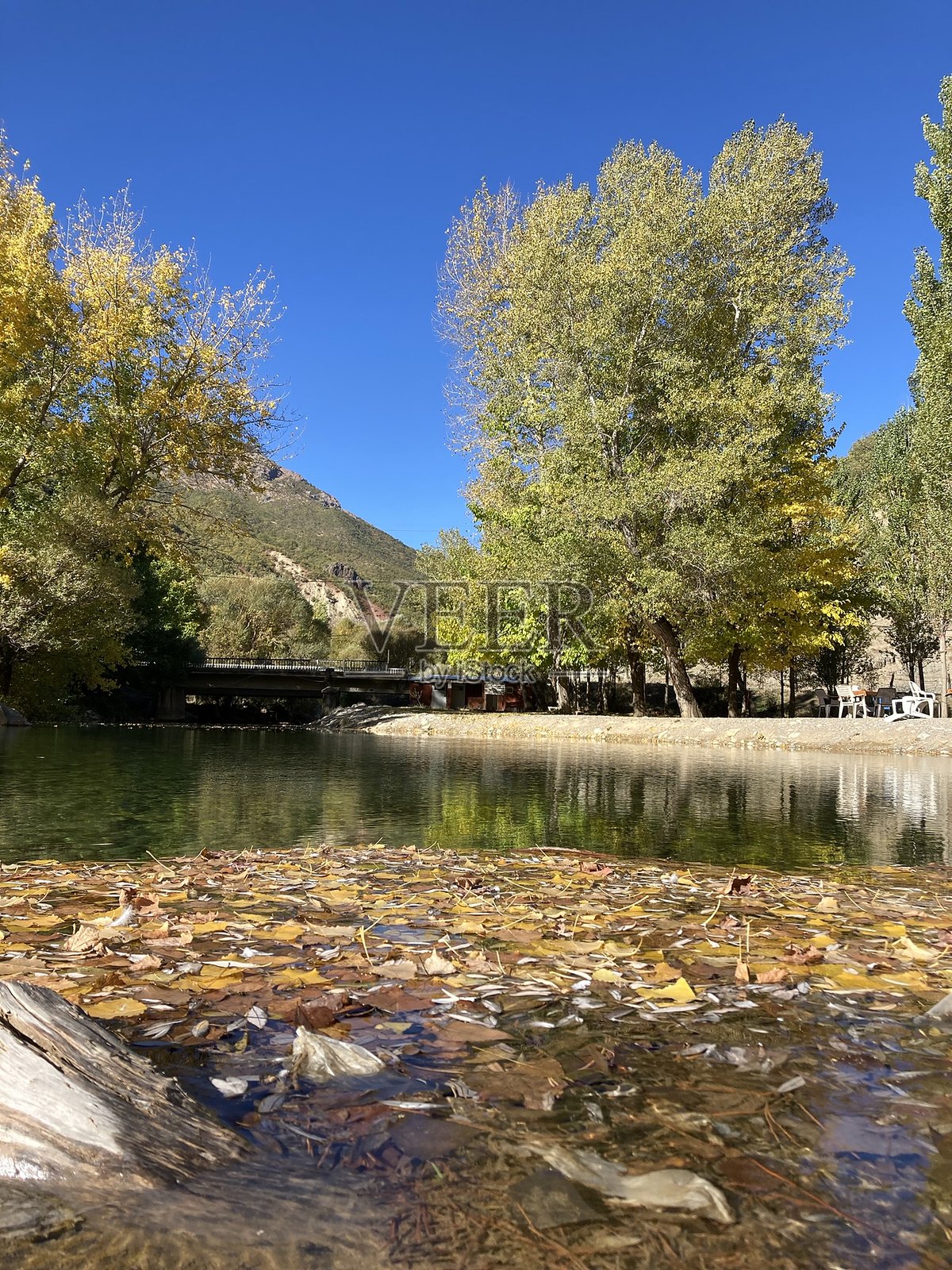 图恩杰利的秋叶池塘照片摄影图片