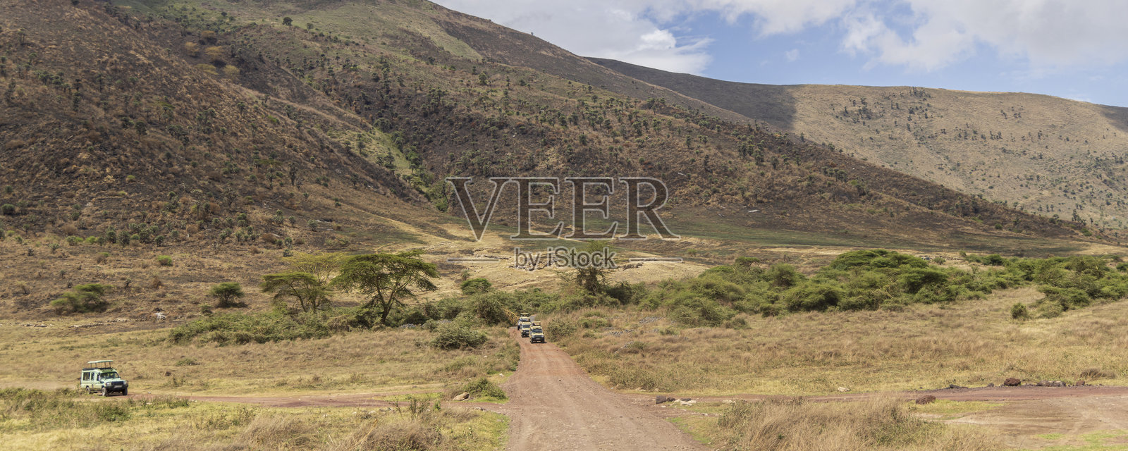 坦桑尼亚东非恩戈罗恩戈罗火山口的野生动物 safari照片摄影图片