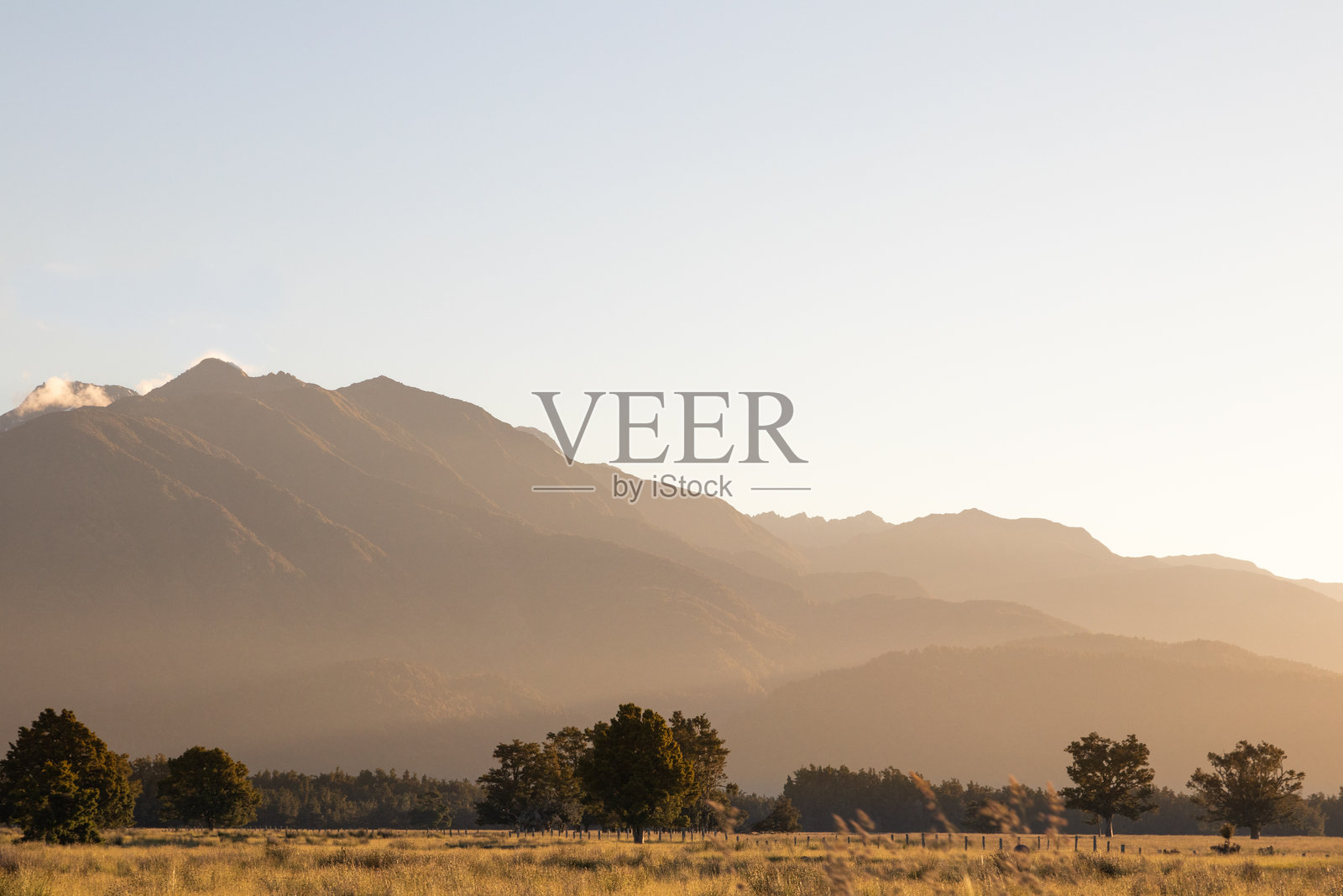 新西兰的黄金时刻照片摄影图片