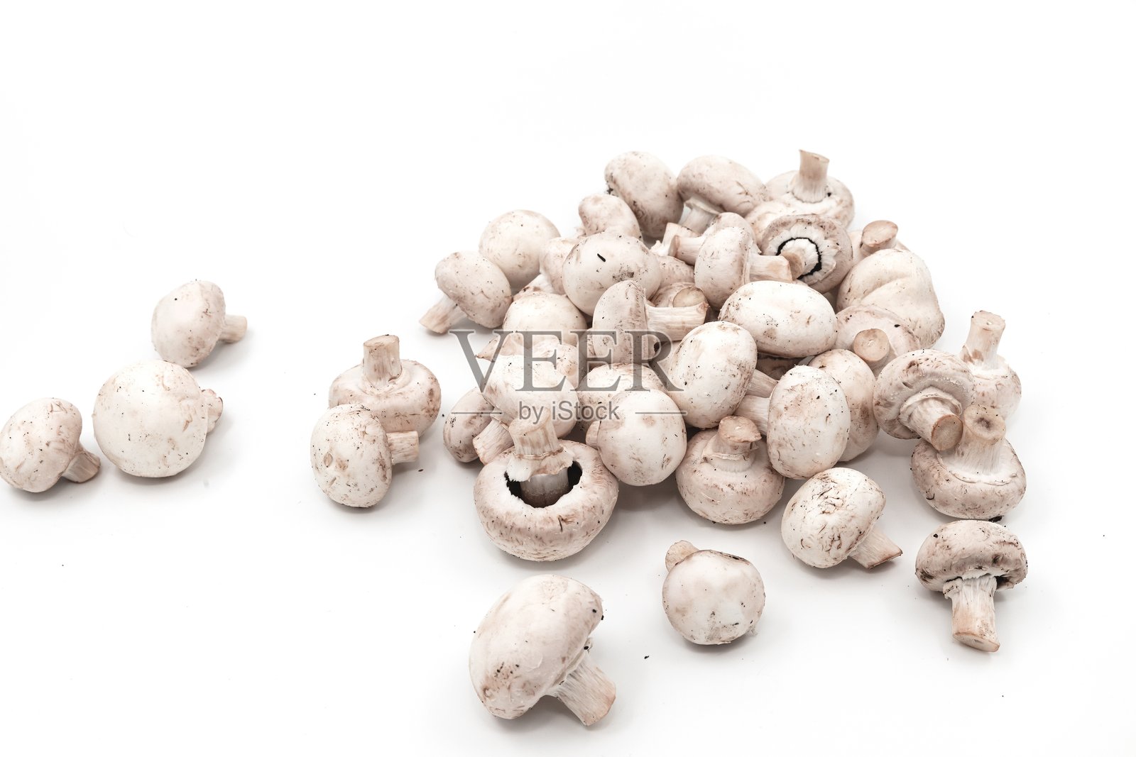 新鲜白色按钮蘑菇 - 有机香菇在白色背景上照片摄影图片