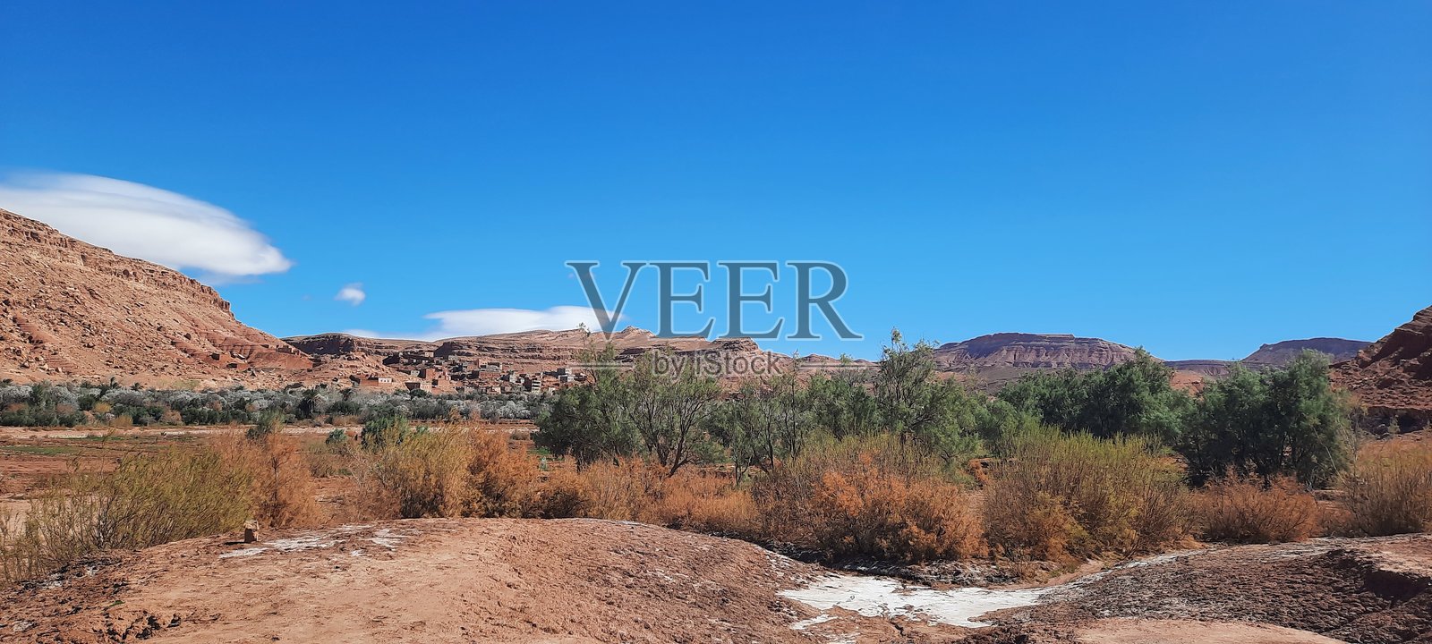 荒野中的宁静照片摄影图片