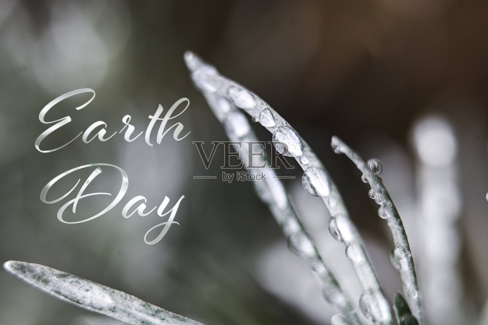 地球日庆祝卡片照片摄影图片