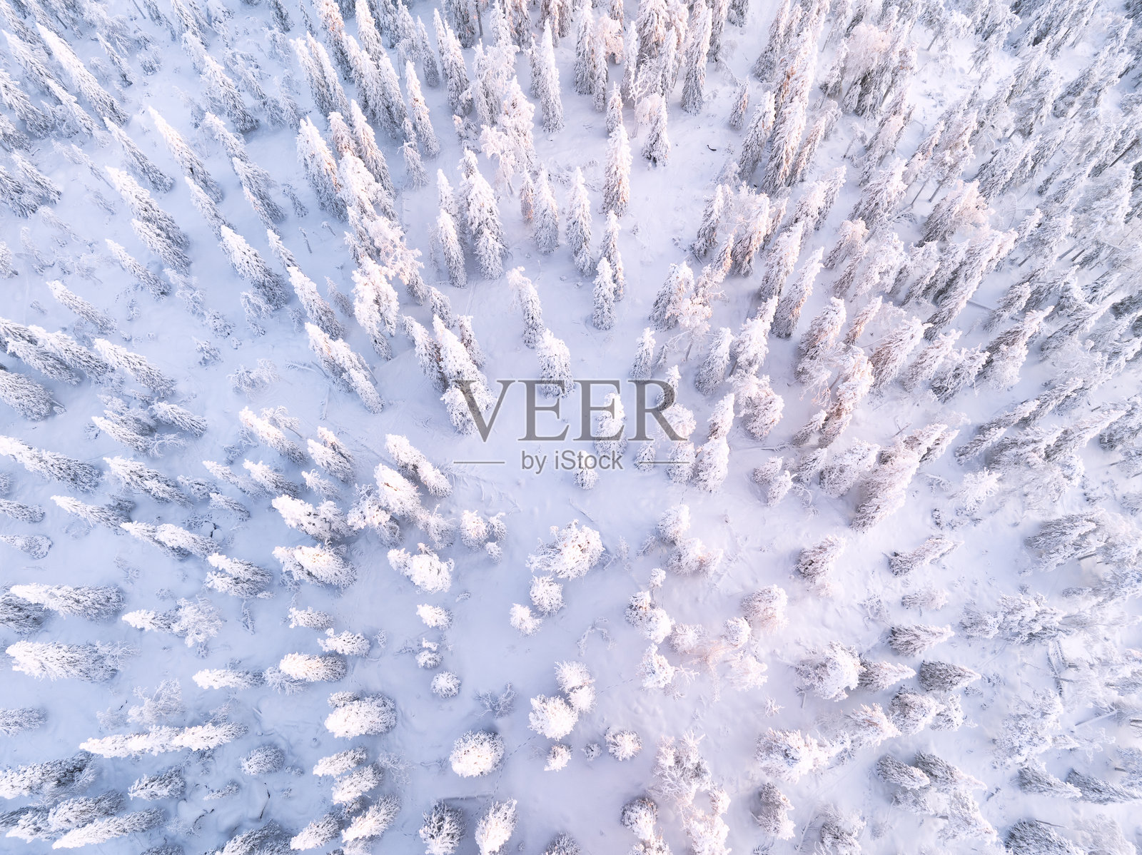 Iso-Syöte的鸟瞰图：芬兰拉普兰的雪覆盖山峰和森林。照片摄影图片