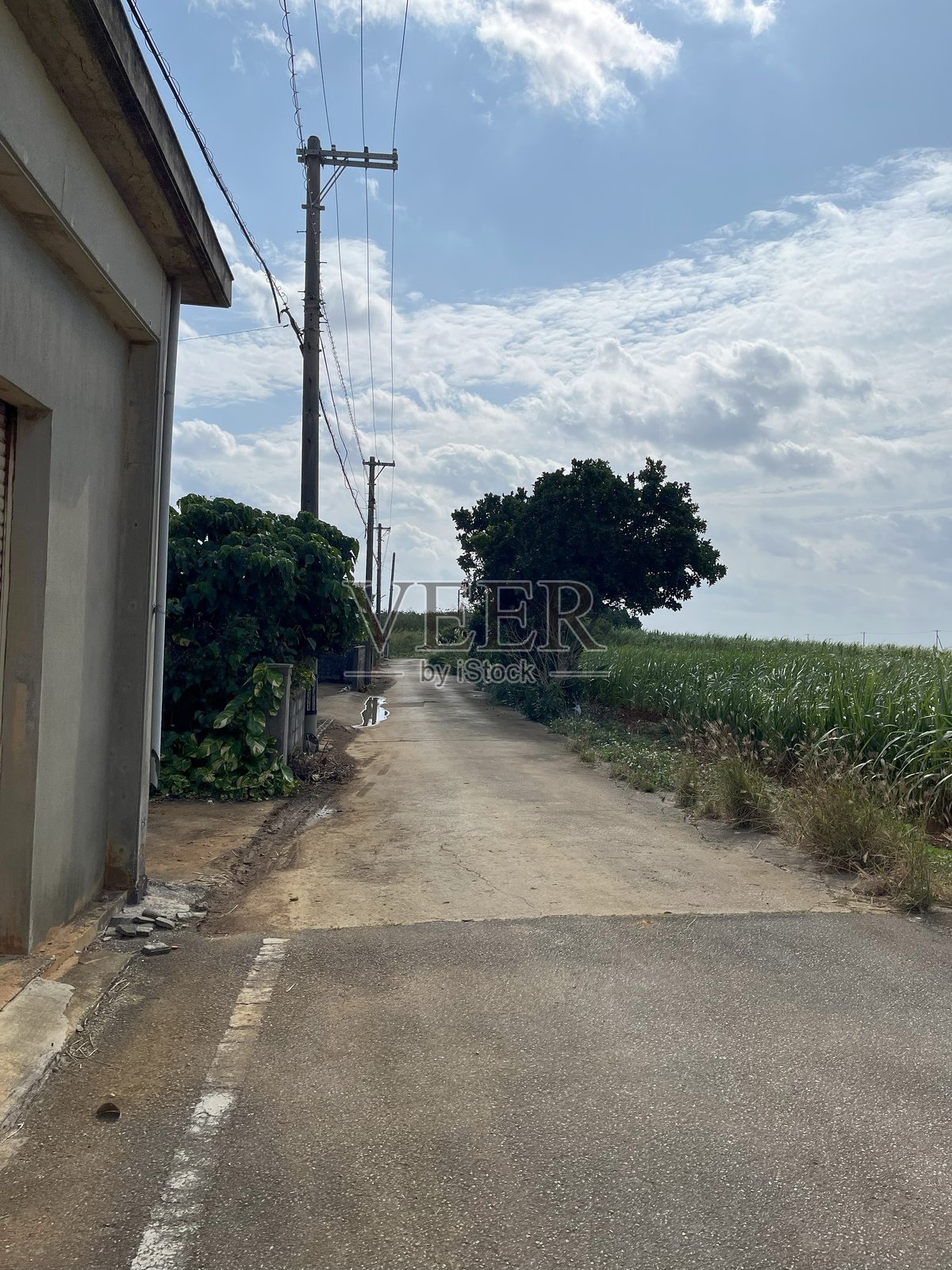 久米岛的街景照片摄影图片