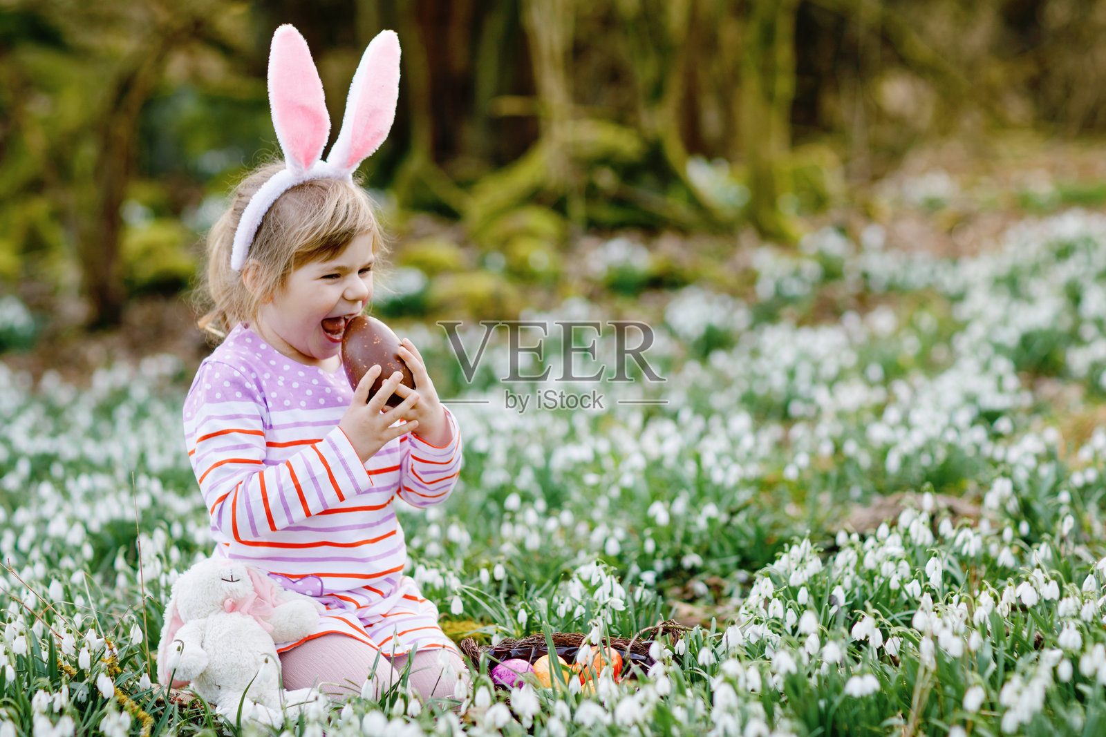 小女孩戴着复活节兔耳朵，在阳光明媚的春季森林中进行寻找彩蛋的活动。可爱的快乐孩子 surrounded by 雪花莲花、大巧克力蛋和五颜六色的彩蛋。照片摄影图片