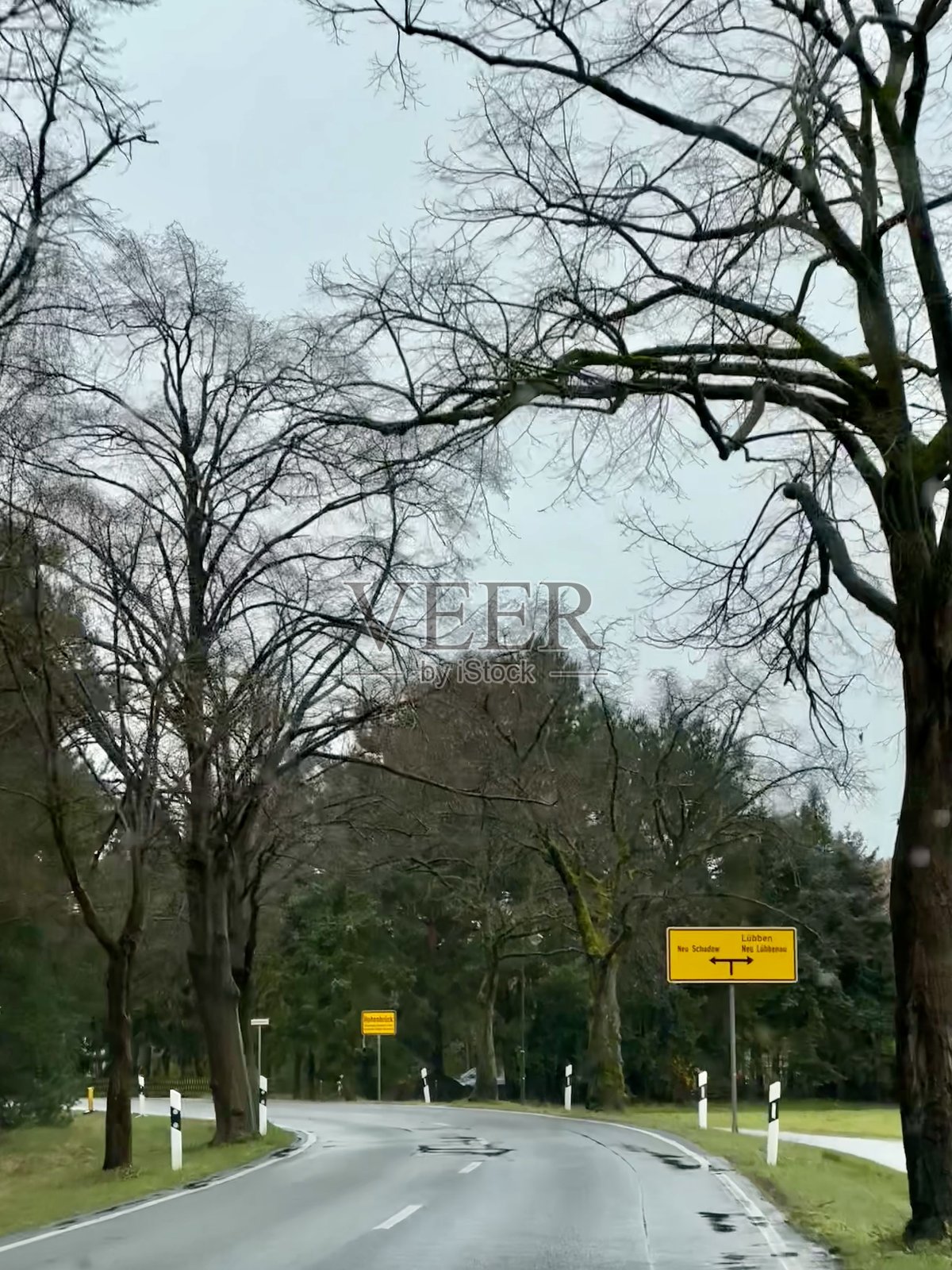 蜿蜒的道路穿过光秃的冬季树木照片摄影图片
