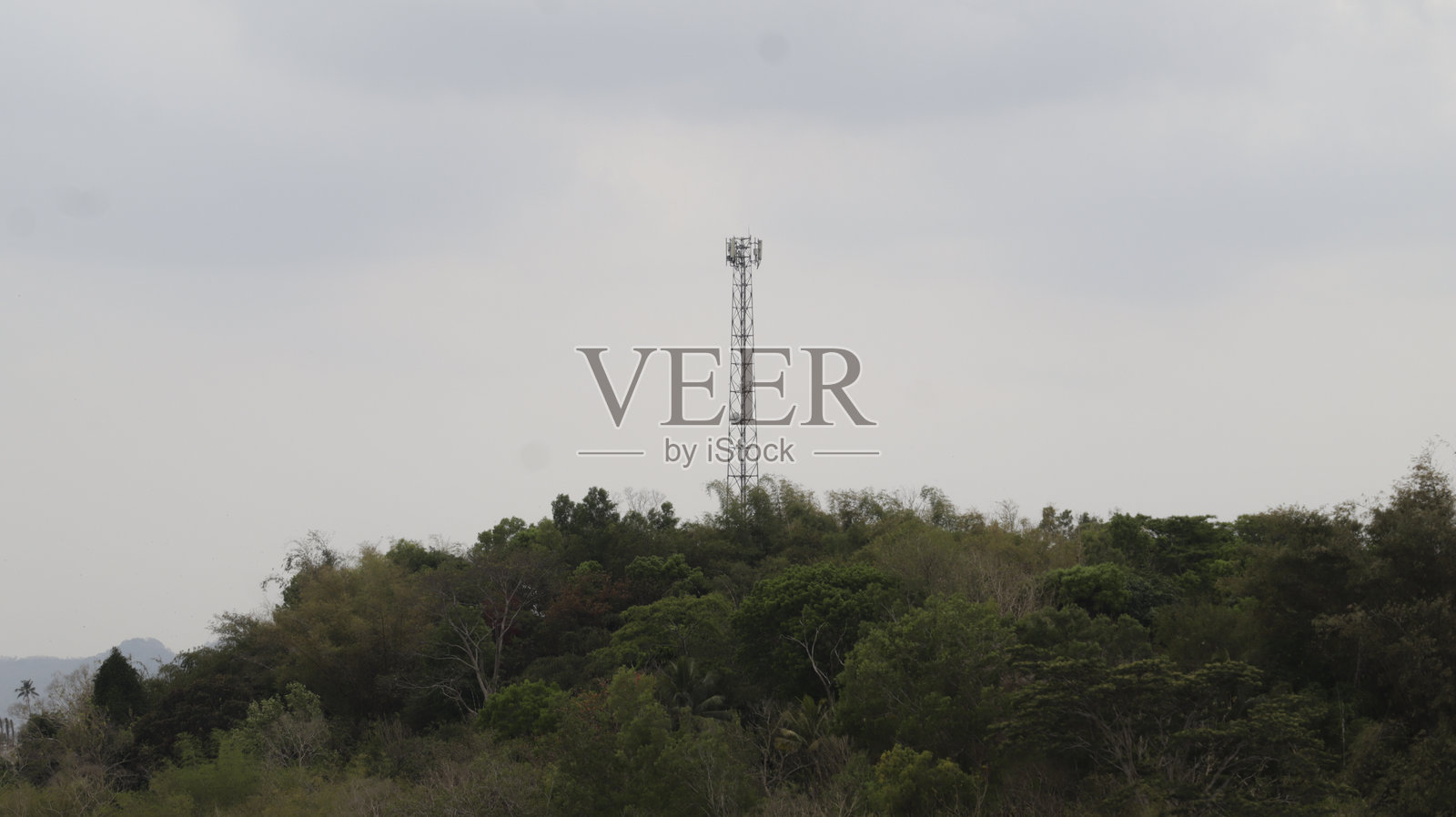 在乡村风景中，电信塔高耸于郁郁葱葱的树木之上，天空多云。照片摄影图片