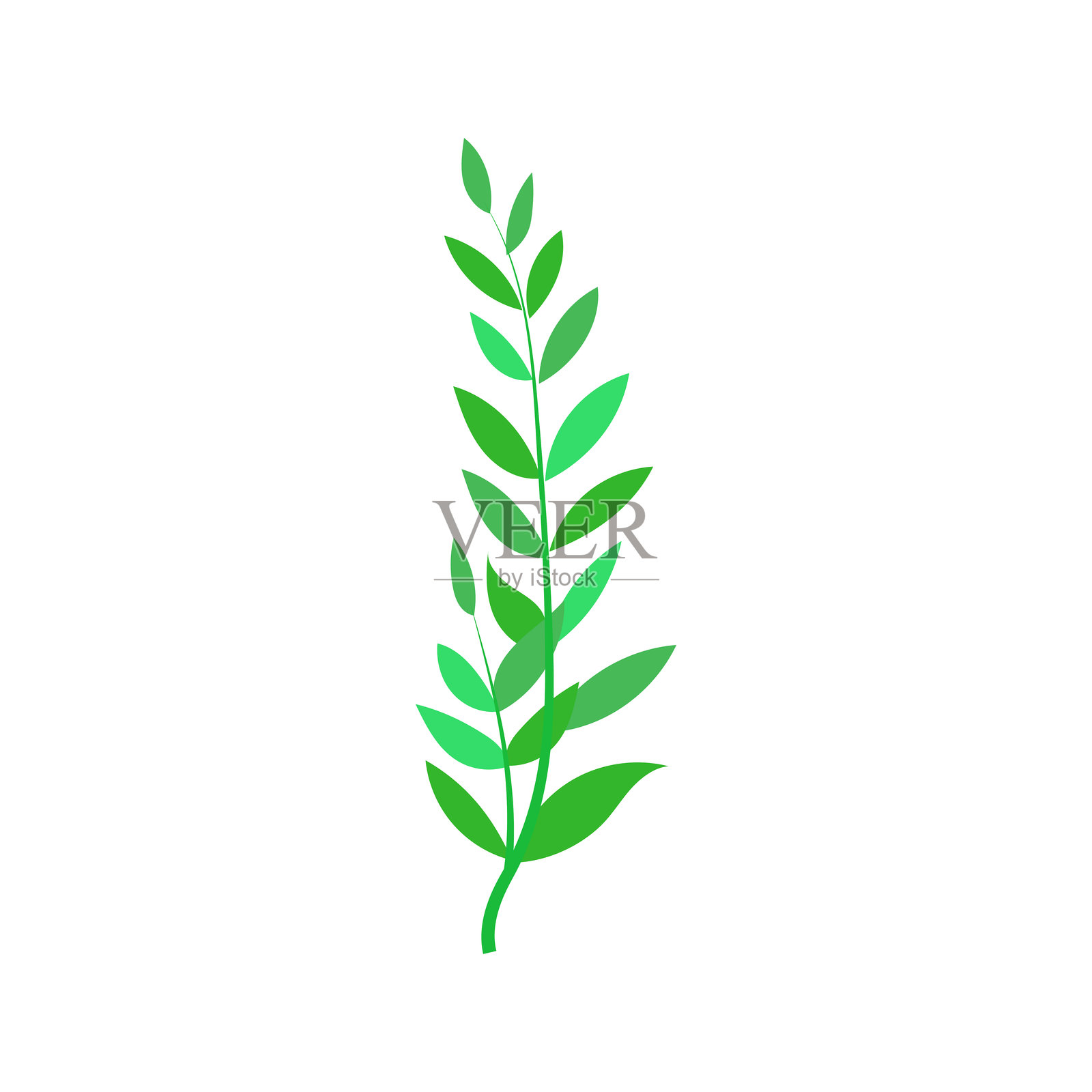 叶子插图元素插画图片素材