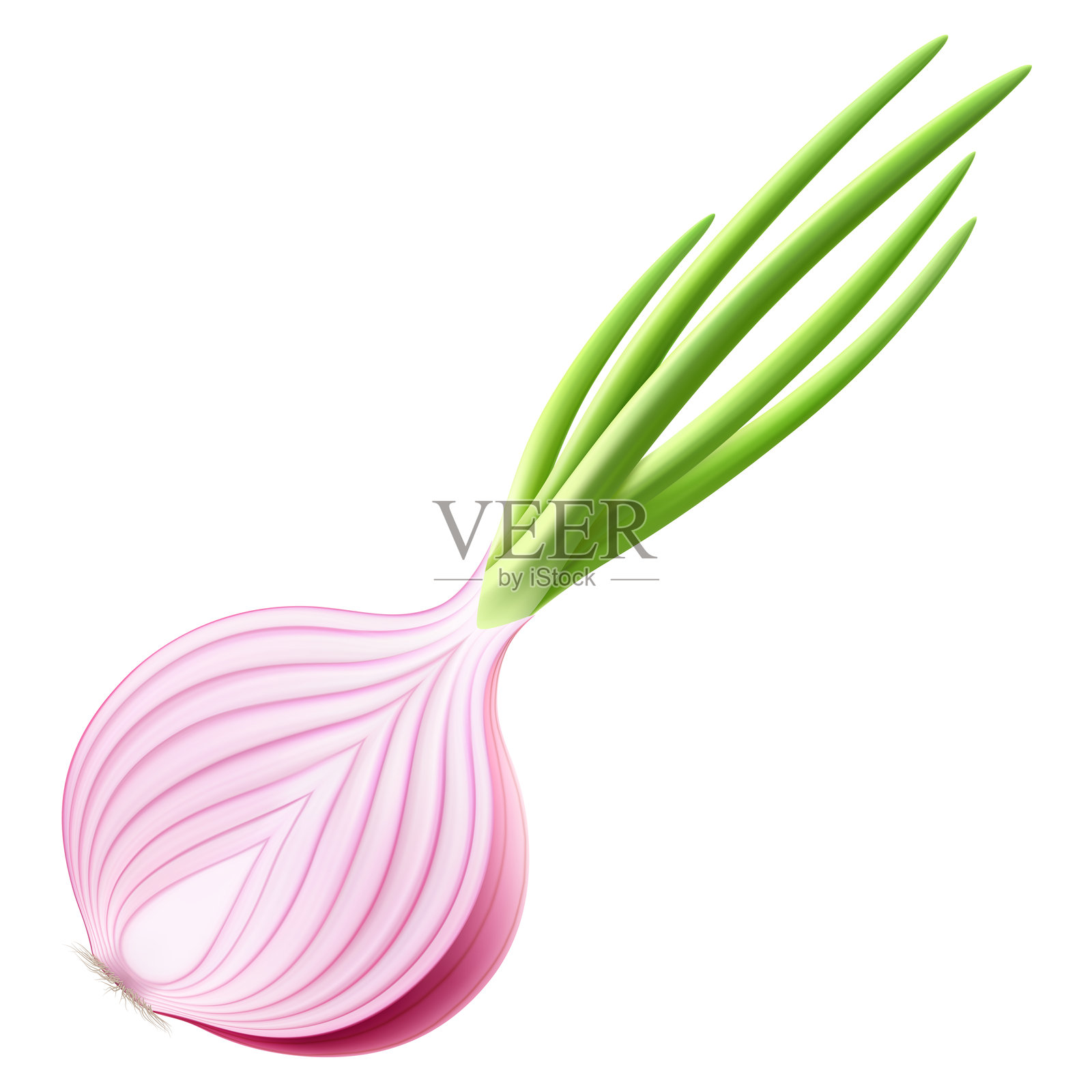 半个新鲜洋葱。半个成熟的红洋葱，带有绿色羽毛，孤立在白色背景上。健康食品。天然蔬菜。逼真的3D矢量插图。插画图片素材