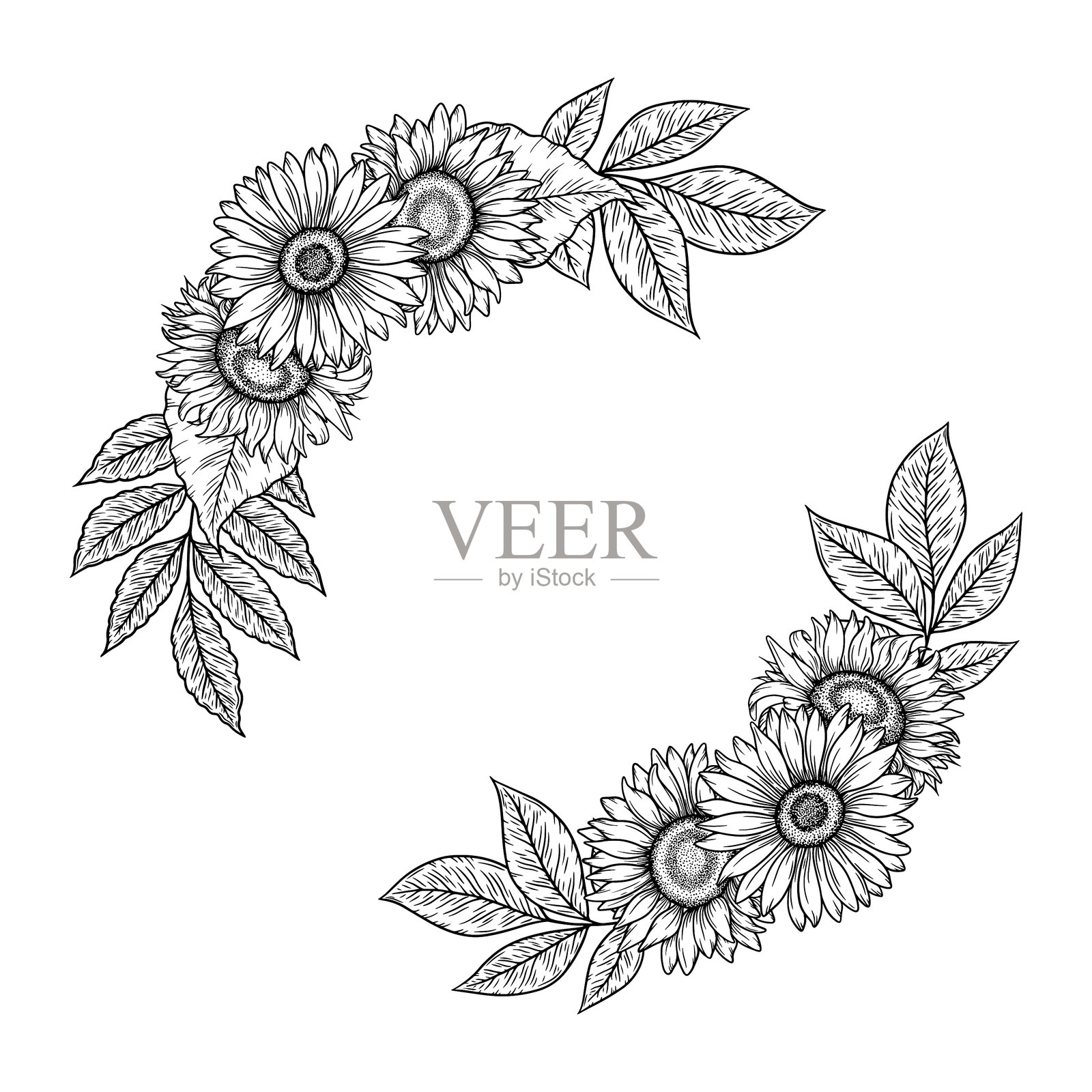 向日葵圆形框架插图，线条艺术花环。图形单色绘图。手绘花卉轮廓素描，雕刻插图。婚礼邀请函、标志的模板。插画图片素材