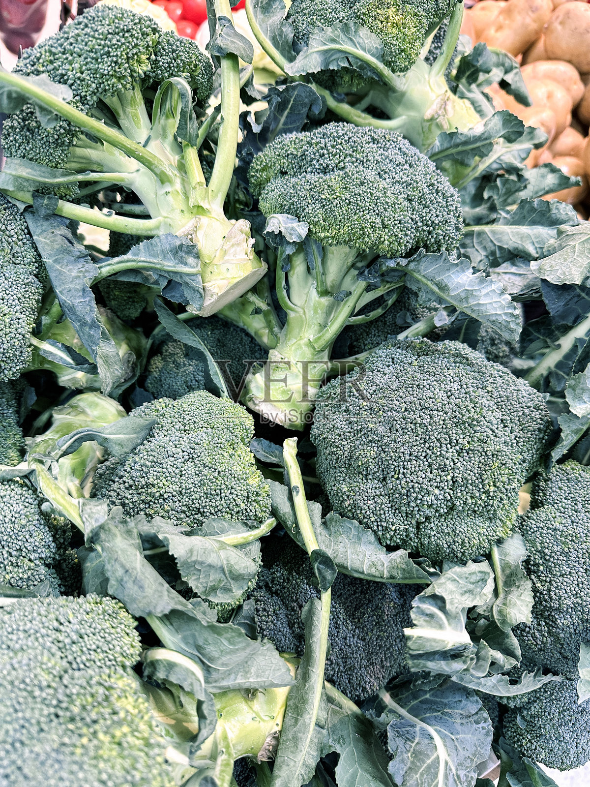 超市里的新鲜西兰花 / 生鲜蔬菜在水果蔬菜店展示 / 新鲜的农场直供绿色西兰花照片摄影图片