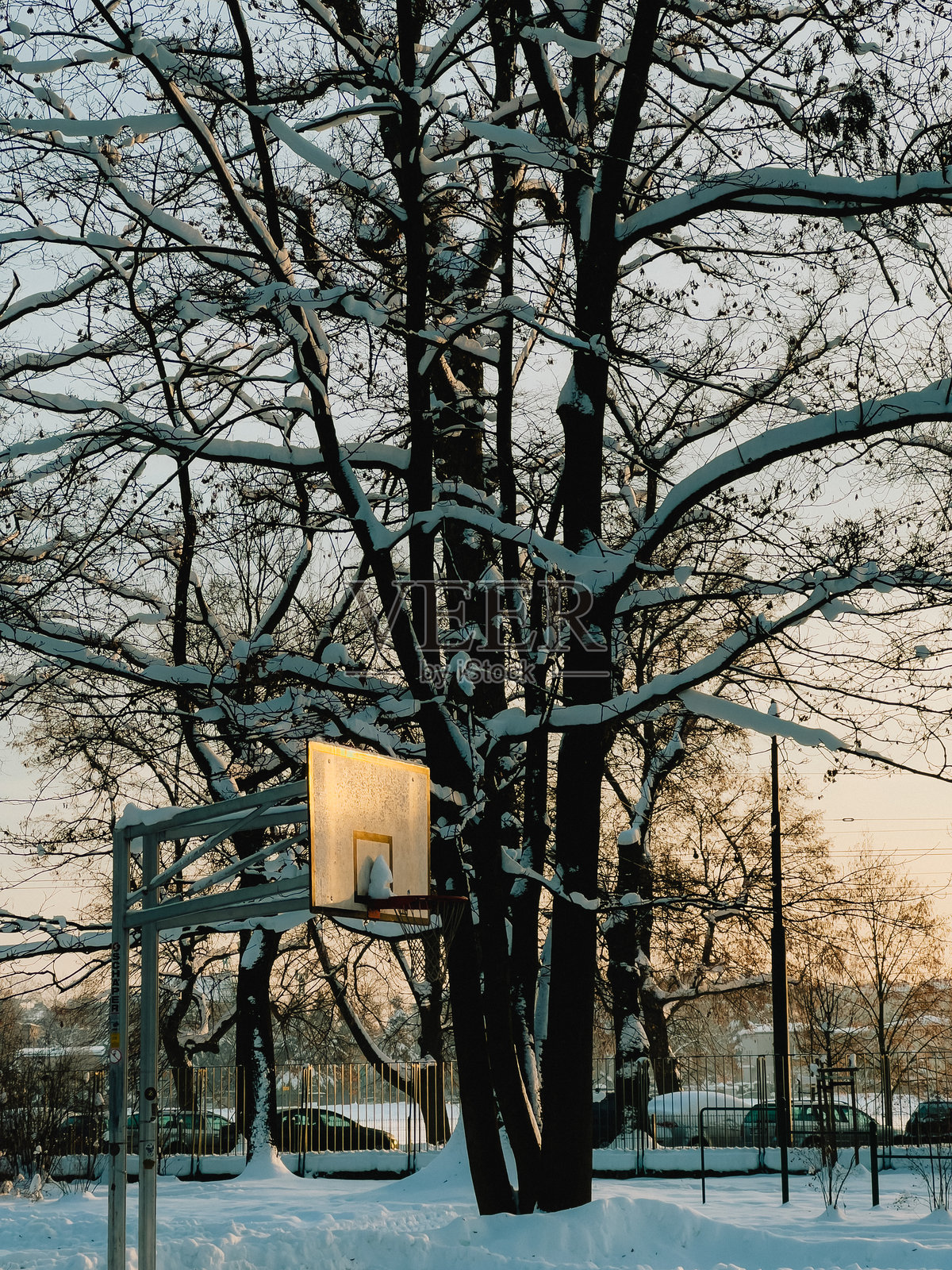 冬季日落时分，雪地公园中的篮球架。城市公园内的雪地游乐场中的篮球架，四周被覆盖着雪的树木环绕，沐浴在温暖的冬季日落光辉中。照片摄影图片
