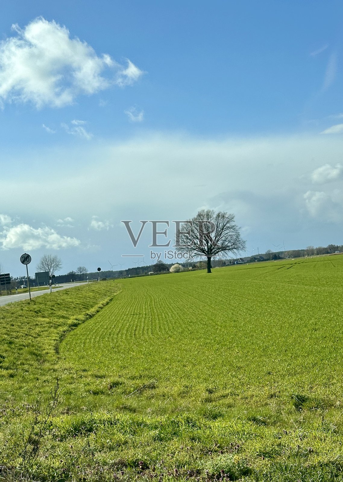 蜿蜒的道路穿过绿色的风景，旁边有一棵孤独的树照片摄影图片