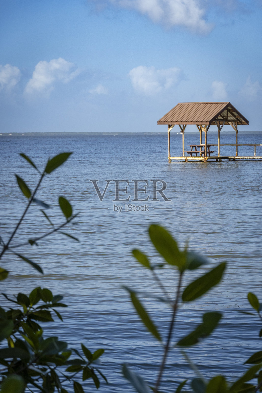 伯利兹 2025照片摄影图片