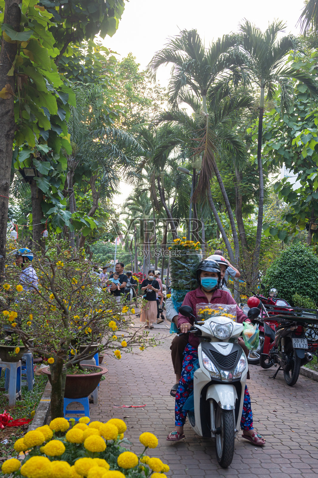 胡志明市的街头花市庆祝春节(农历新年),越南,2025年照片摄影图片