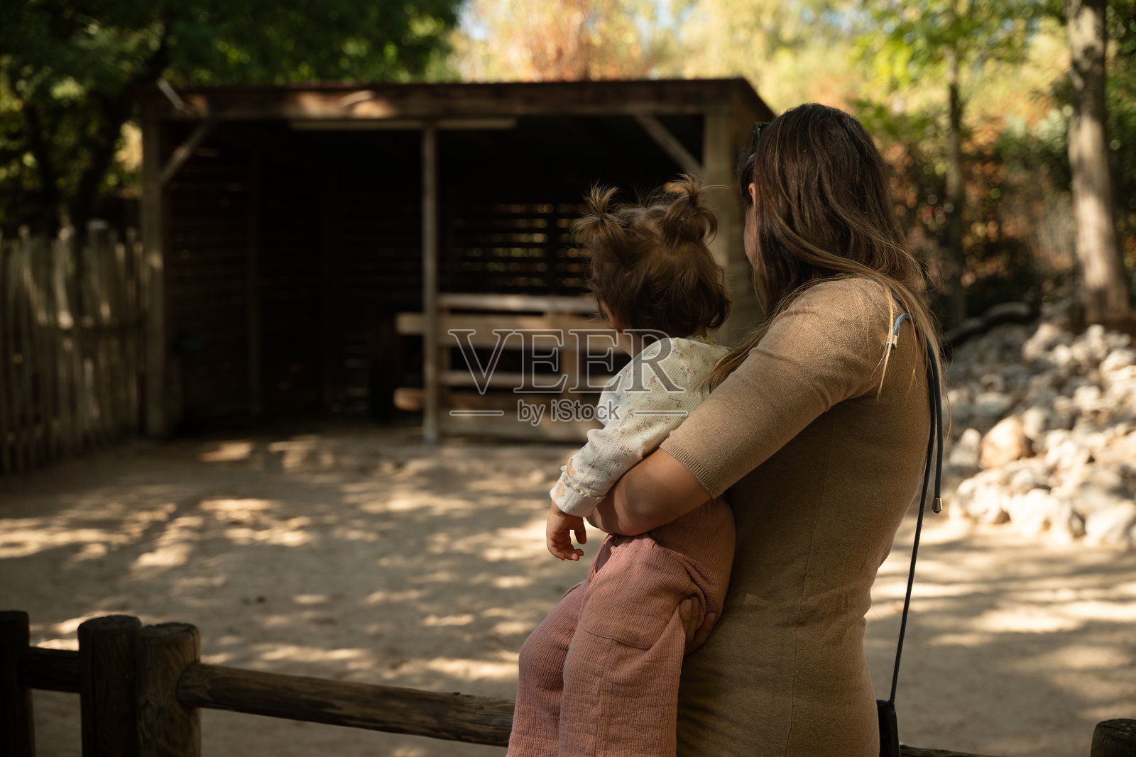 女孩在动物园，仔细观察动物们照片摄影图片